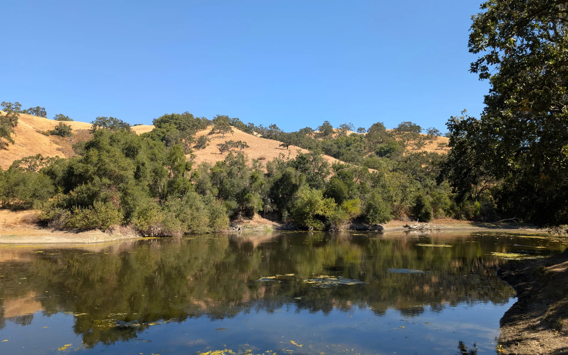 Grant Lake - photo 1