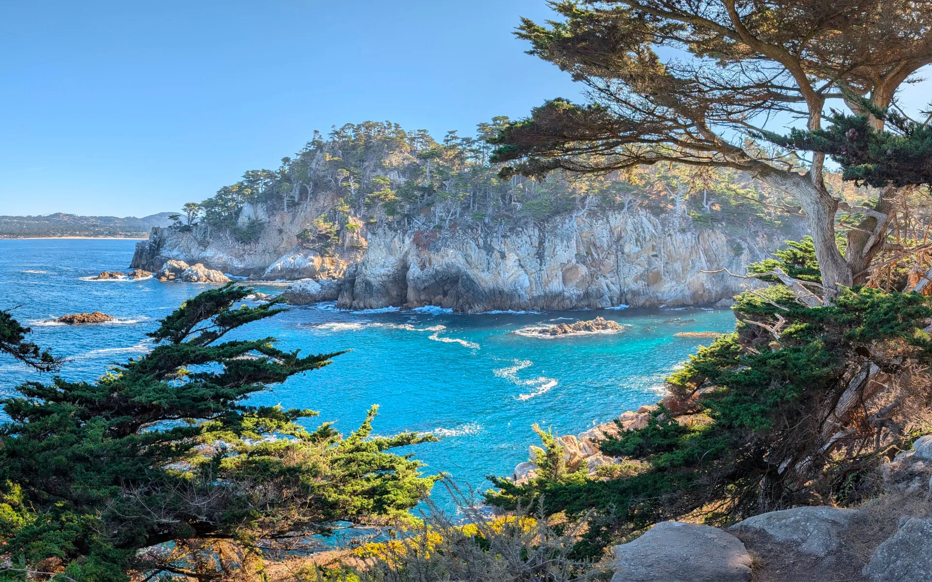 Point Lobos - photo 1