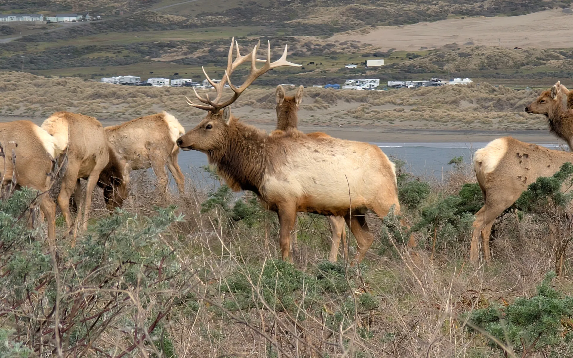 Point Reyes - photo 1