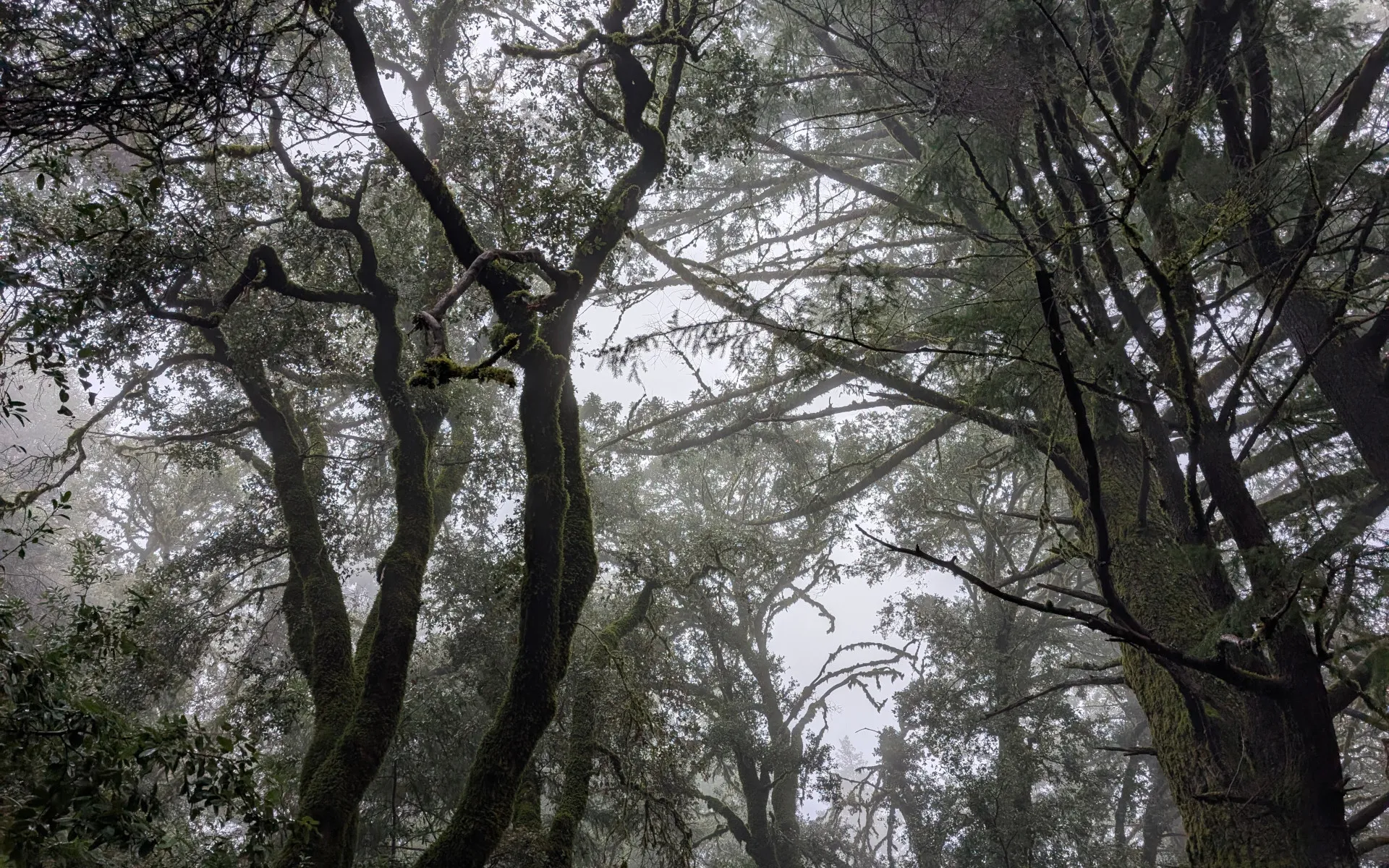 Castle Rock - photo 1