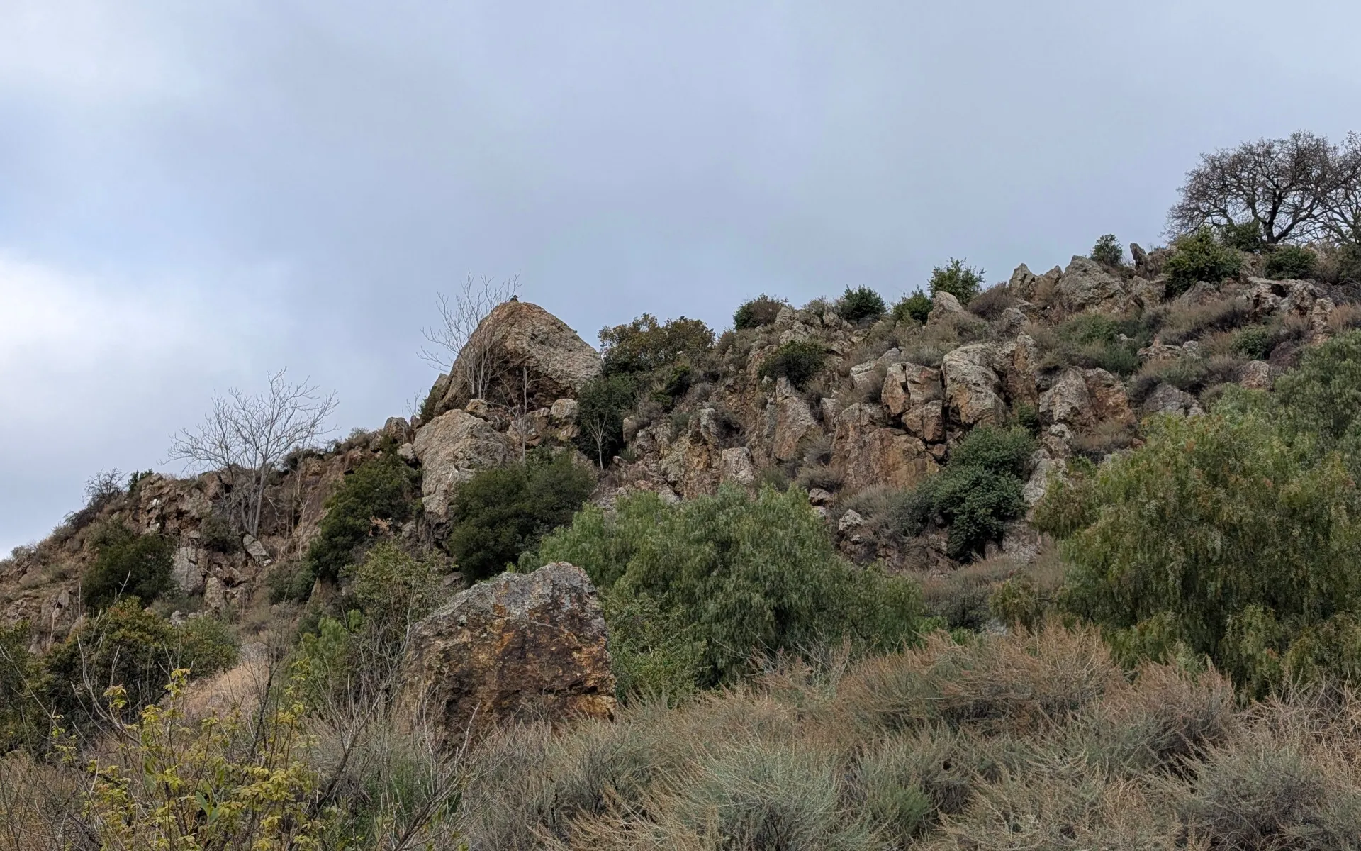 Alum Rock Park - photo 1