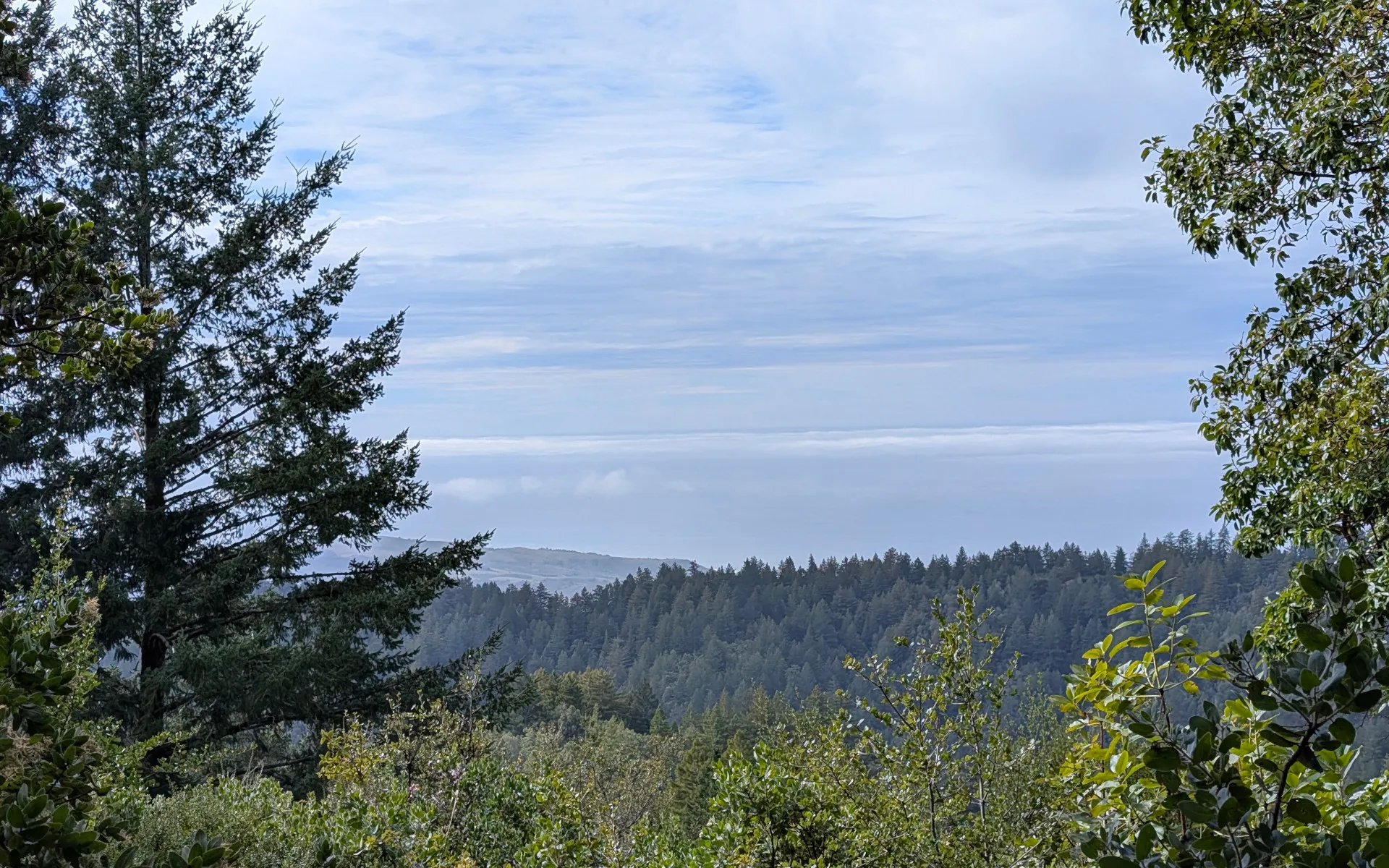 El Corte de Madera - photo 1