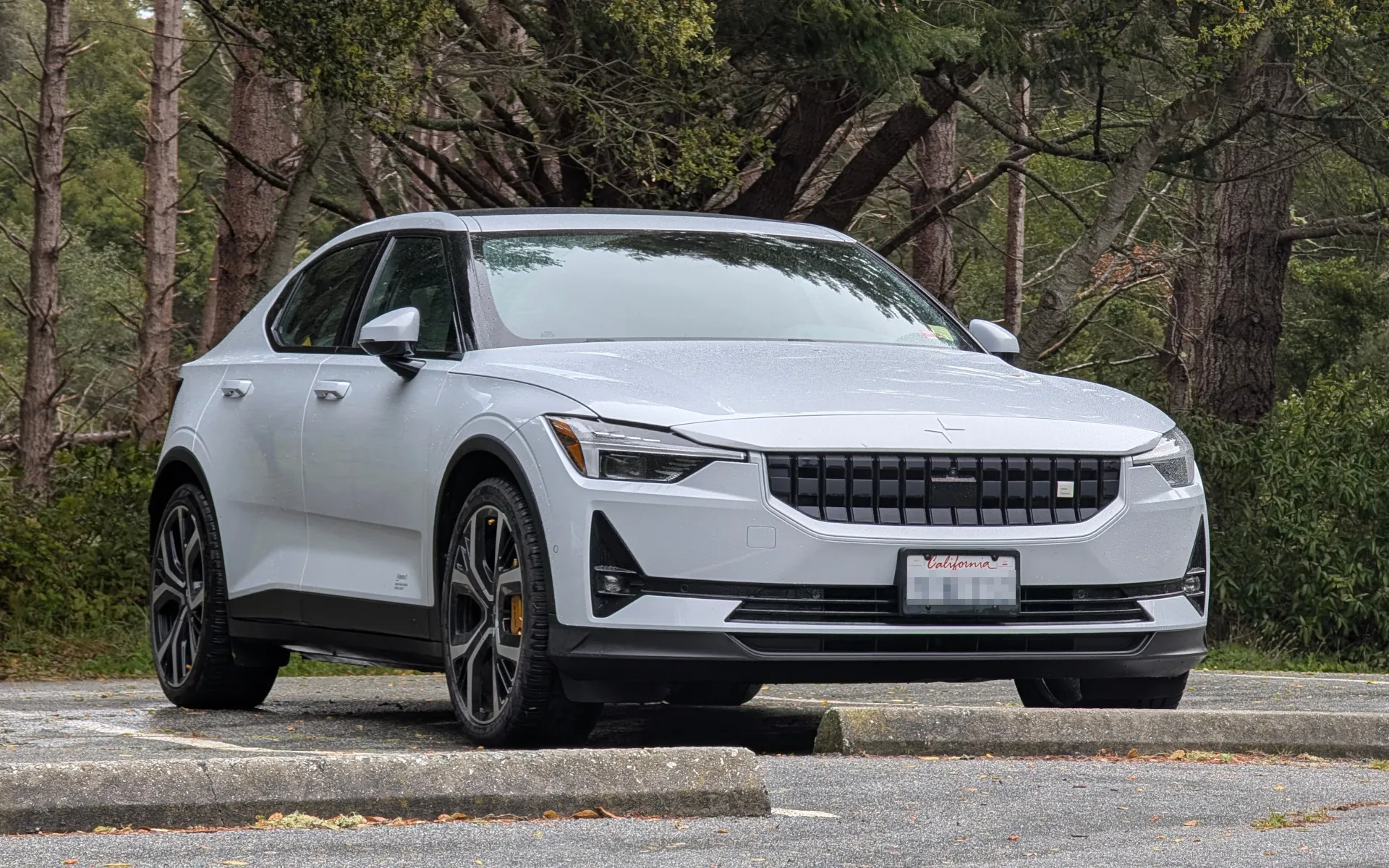 Butano State Park - photo 2