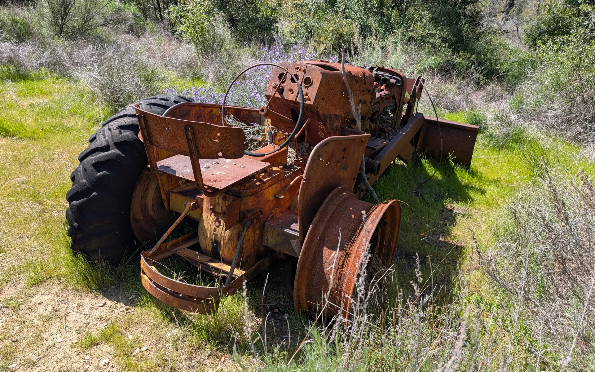 Junipero Serra Peak - photo 4