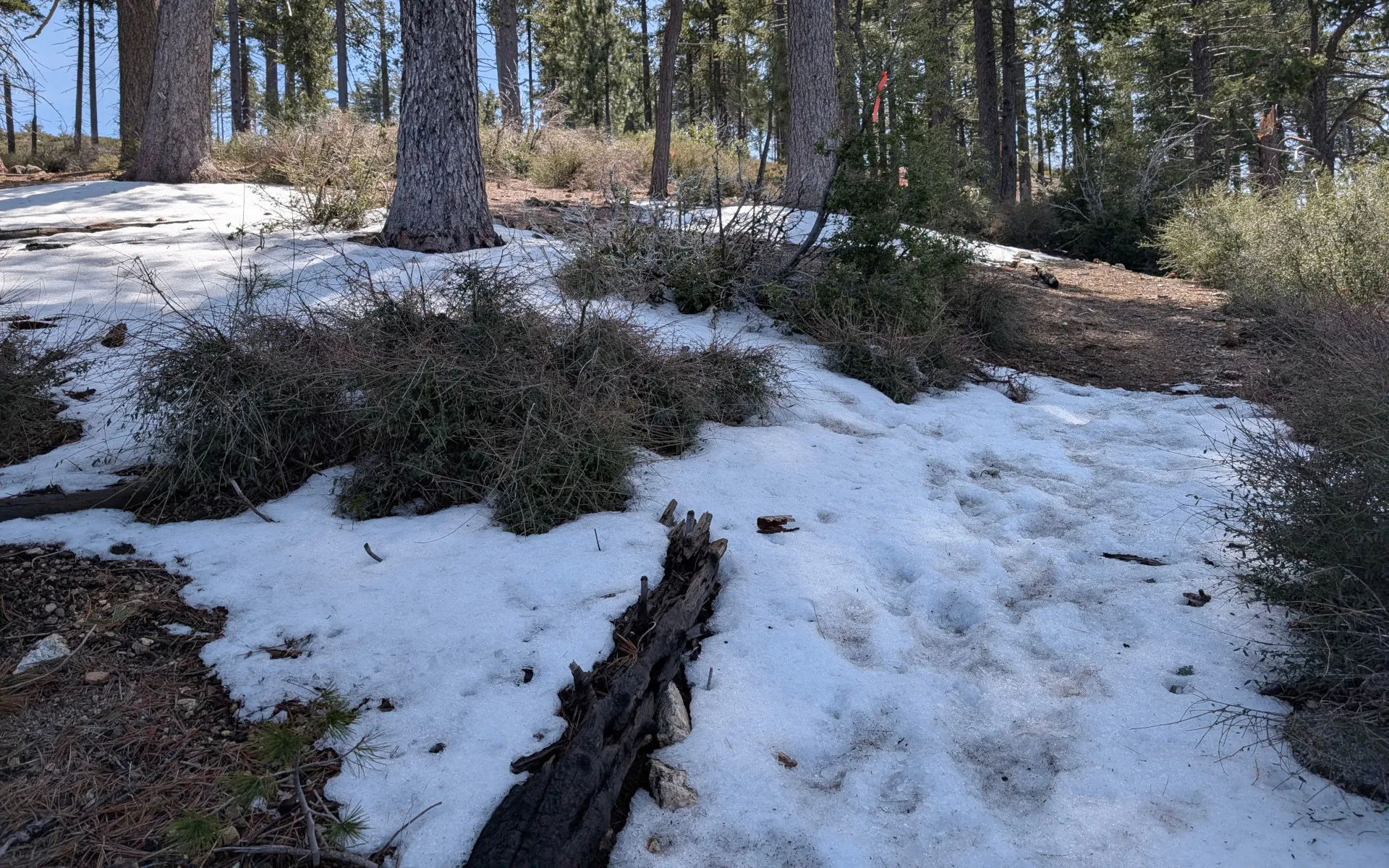 Junipero Serra Peak - photo 5
