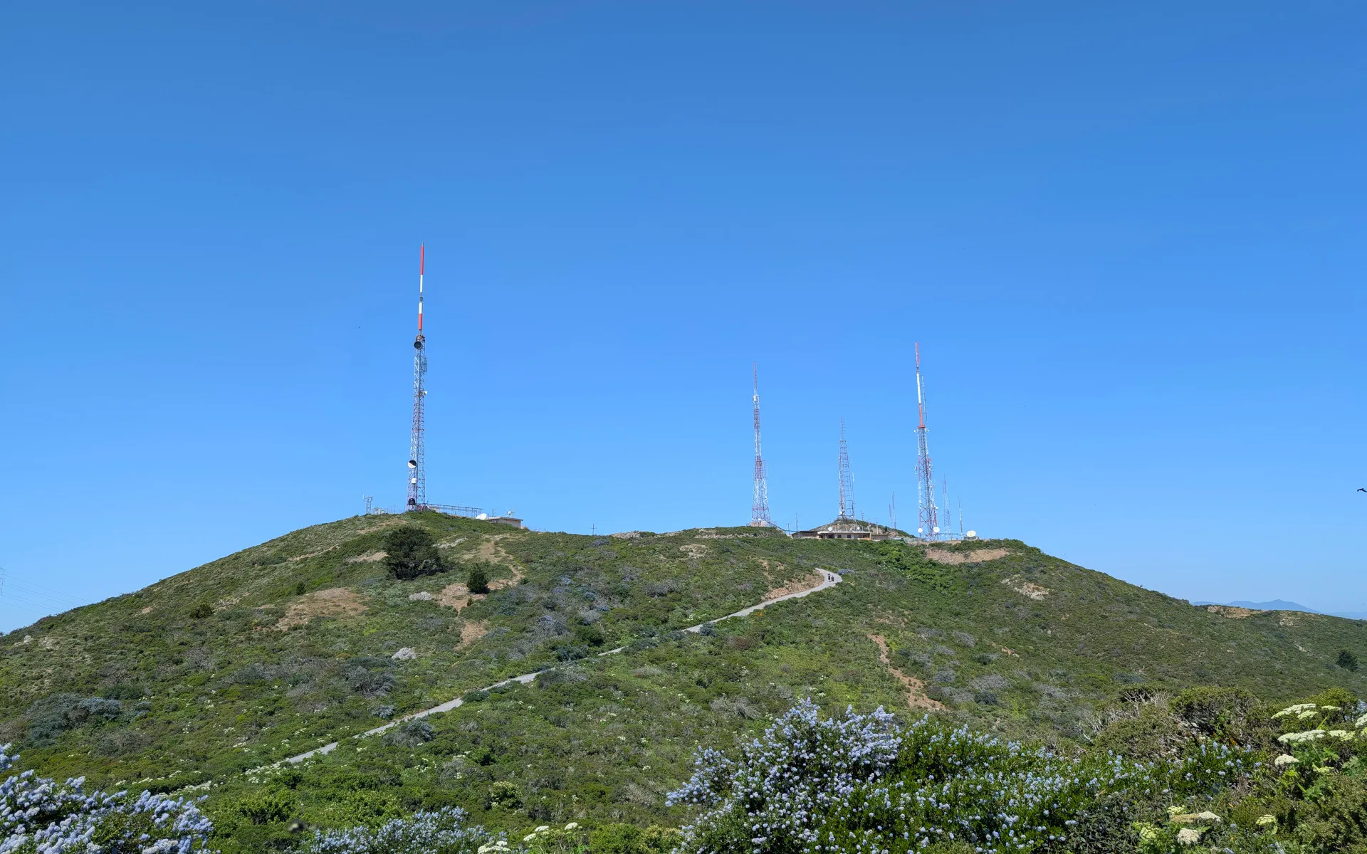 San Bruno Mountain - photo 3