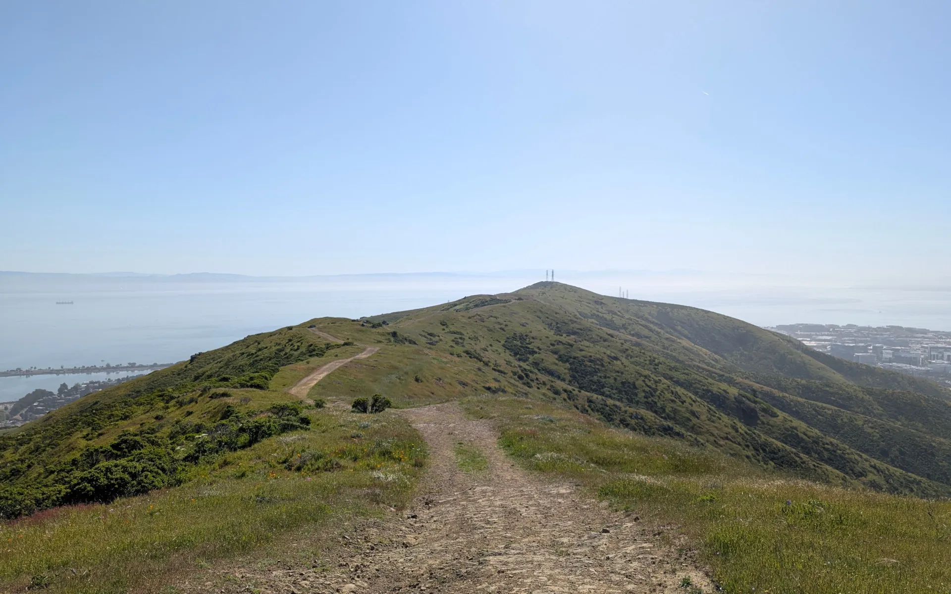 San Bruno Mountain - photo 5