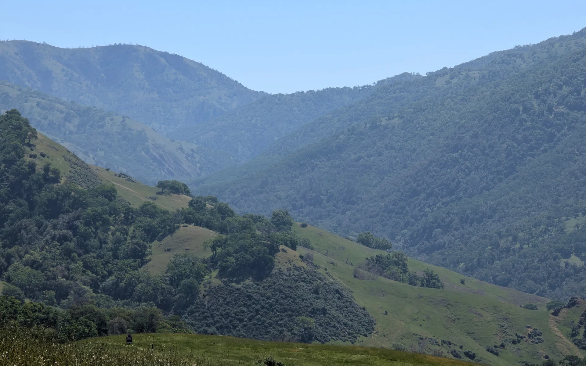Sunol Wilderness - photo 5