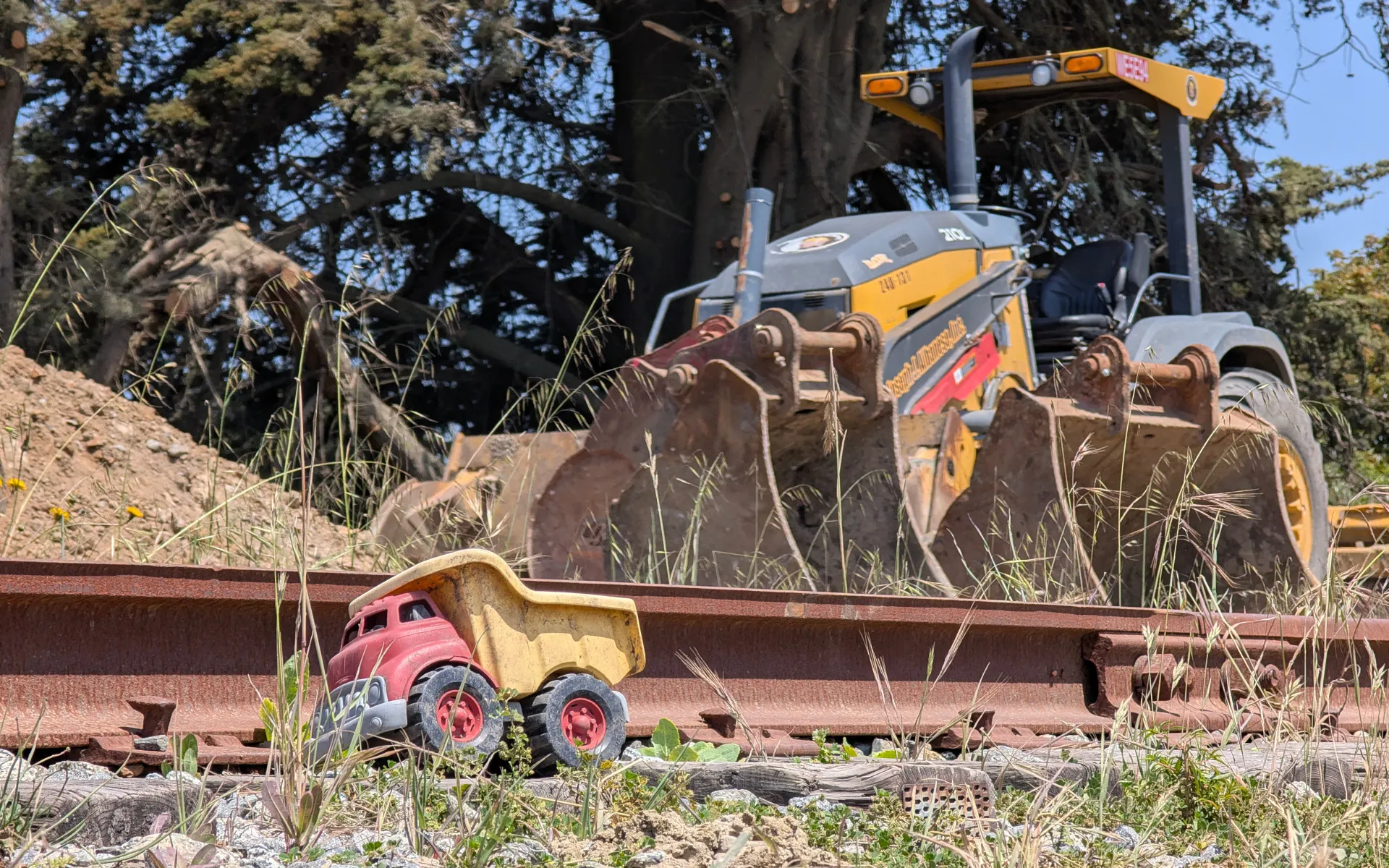 Wilder Ranch State Park - photo 5