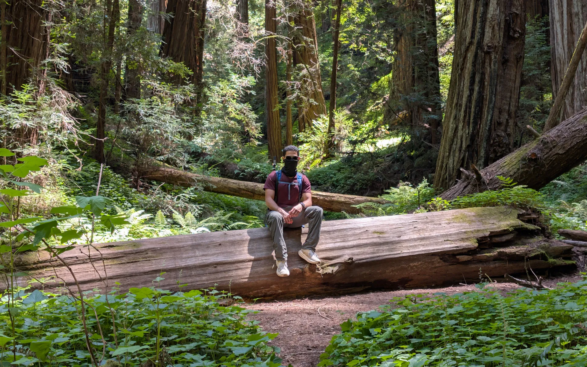 Portola Redwoods State Park - photo 1