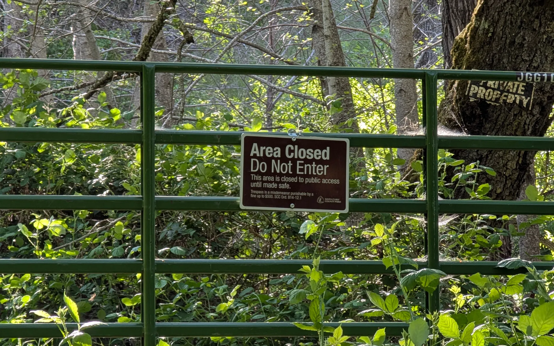 Mount Isabel - photo 3