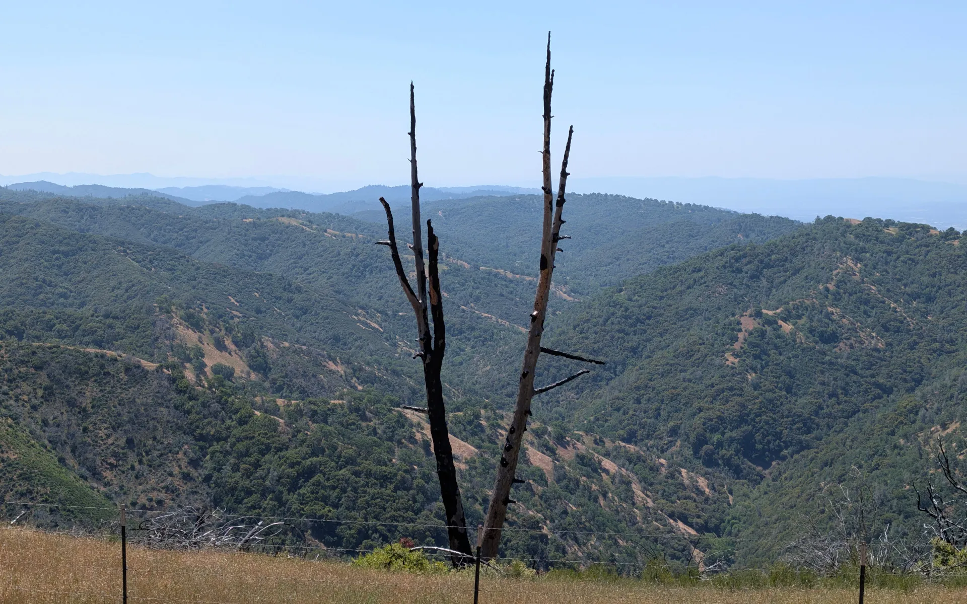 Mount Isabel - photo 4