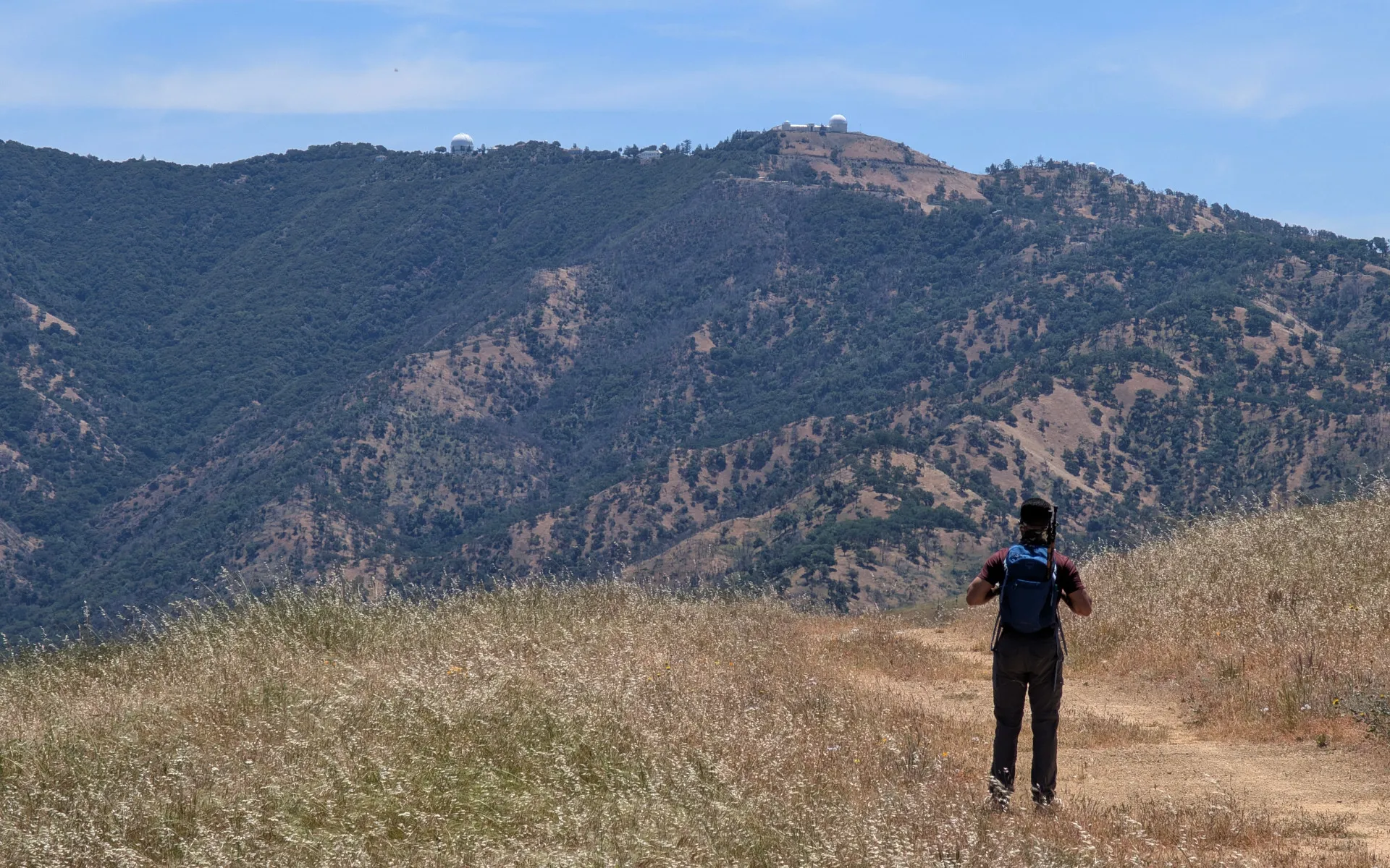 Avenue of the Noble Giants - photo 1