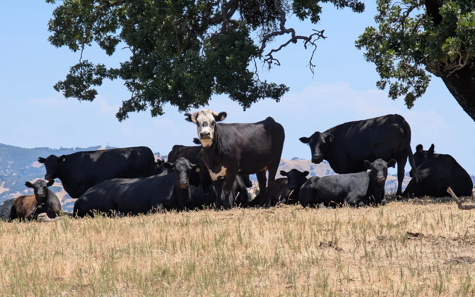 Murietta Falls - photo 3