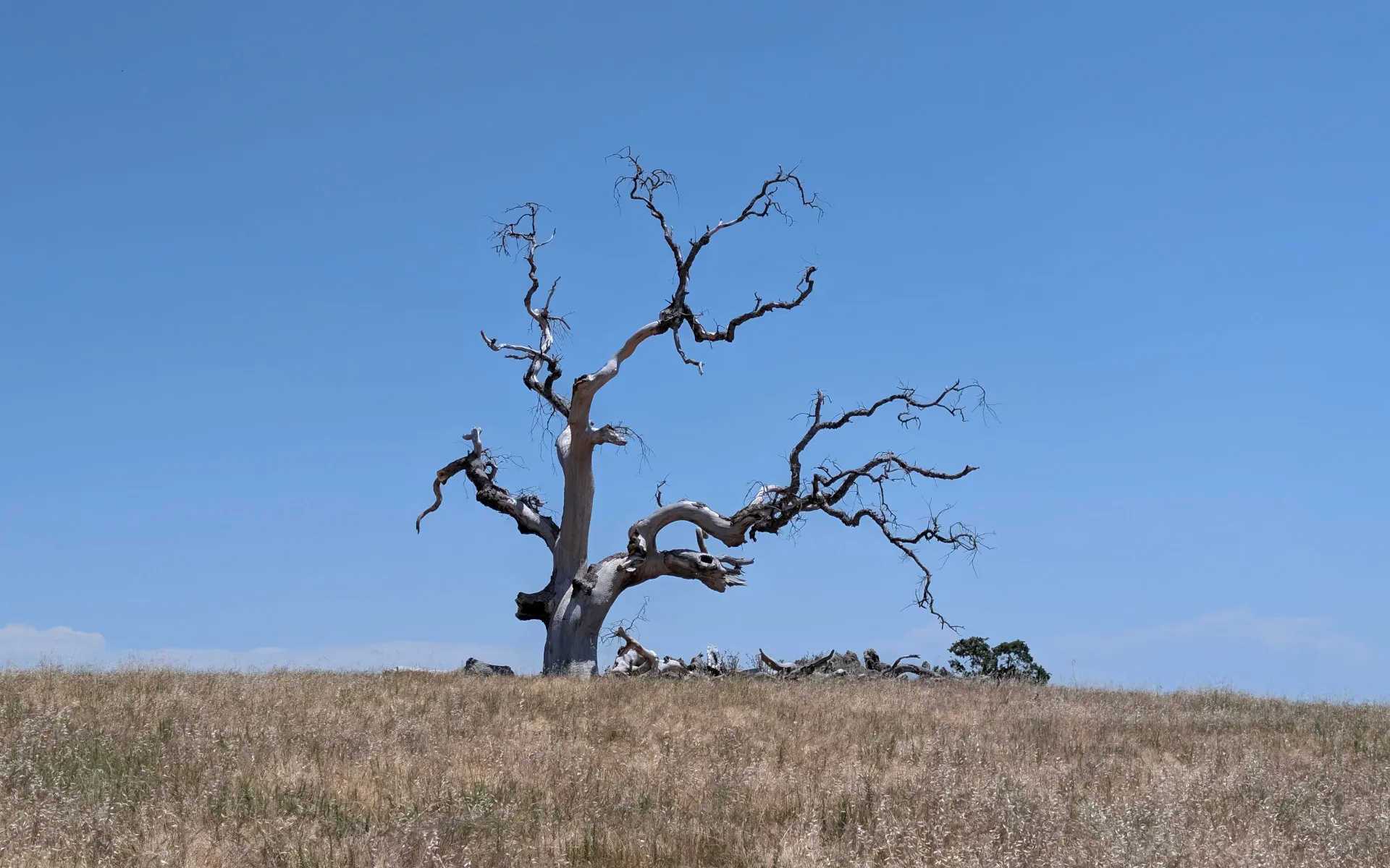 Murietta Falls - photo 5