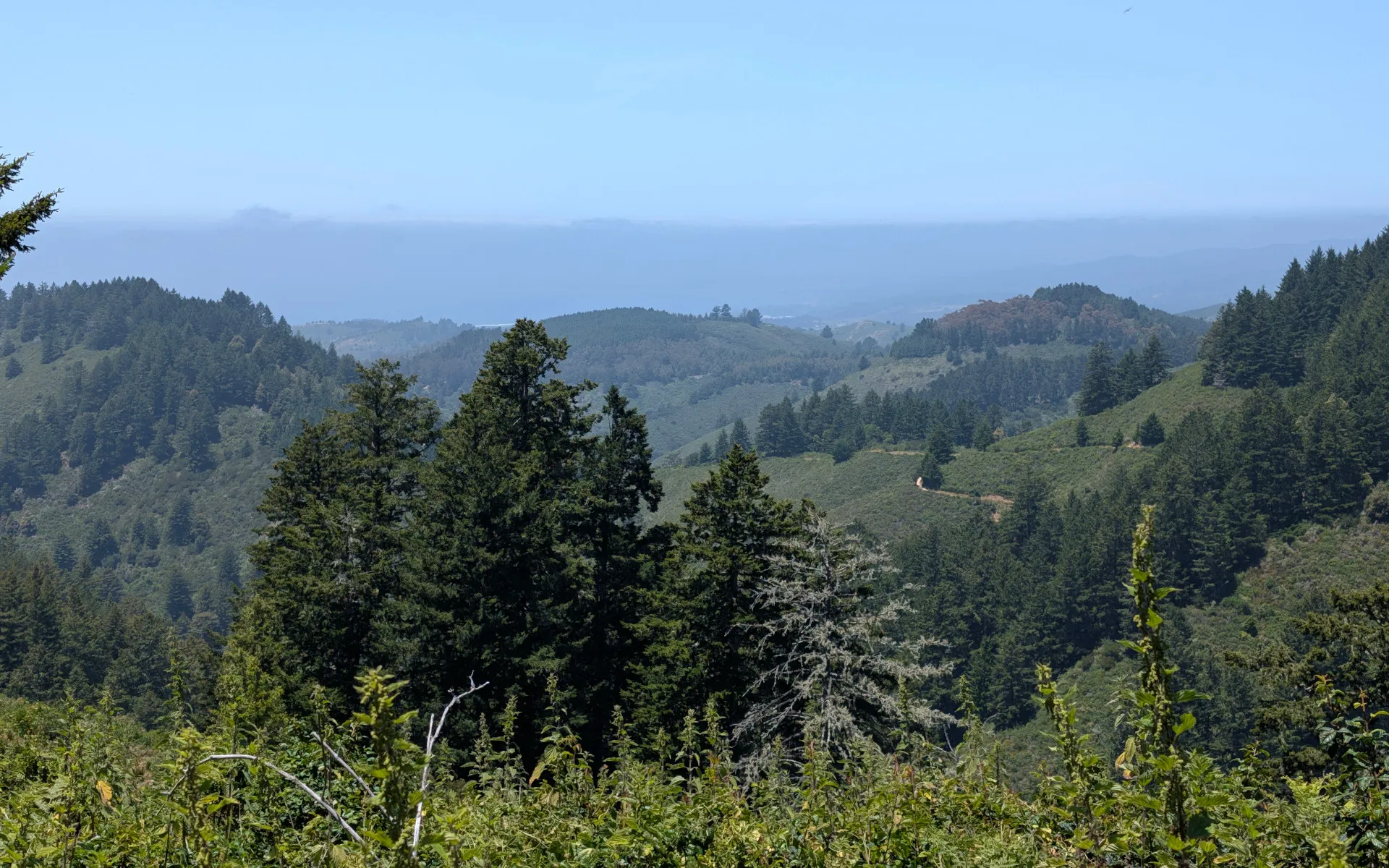 Whittemore Gulch - photo 4