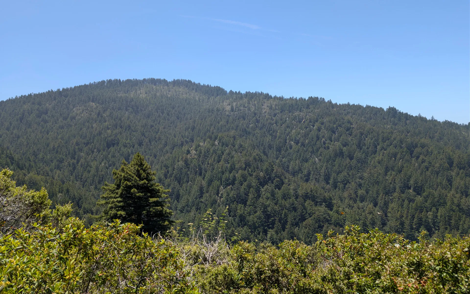 Whittemore Gulch - photo 5