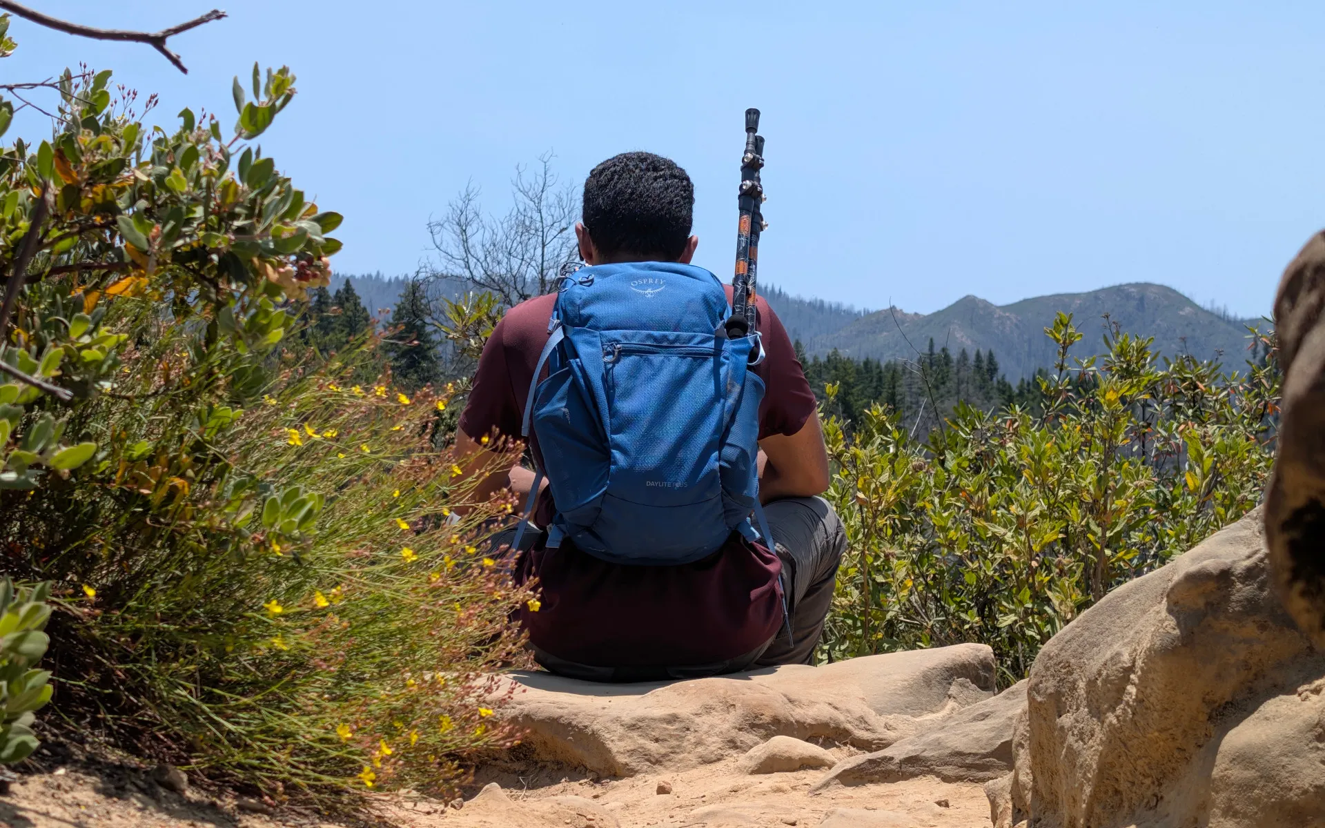 Big Basin State Park - photo 1