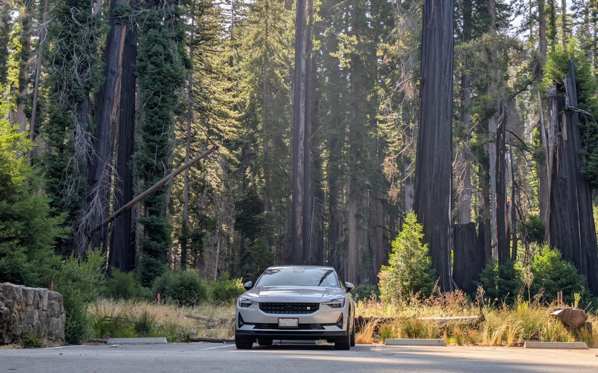 Big Basin State Park - photo 2