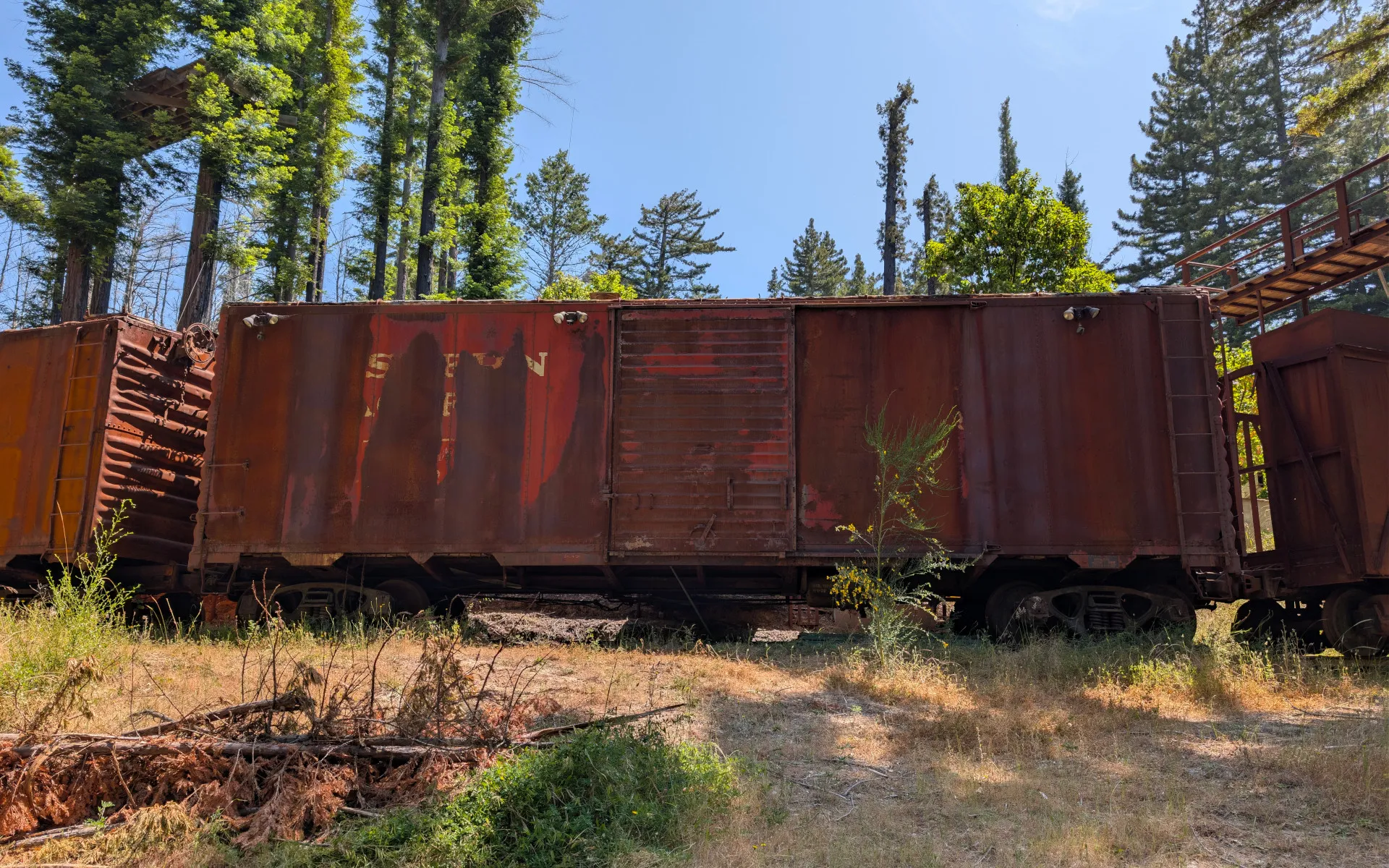 Big Basin State Park - photo 3