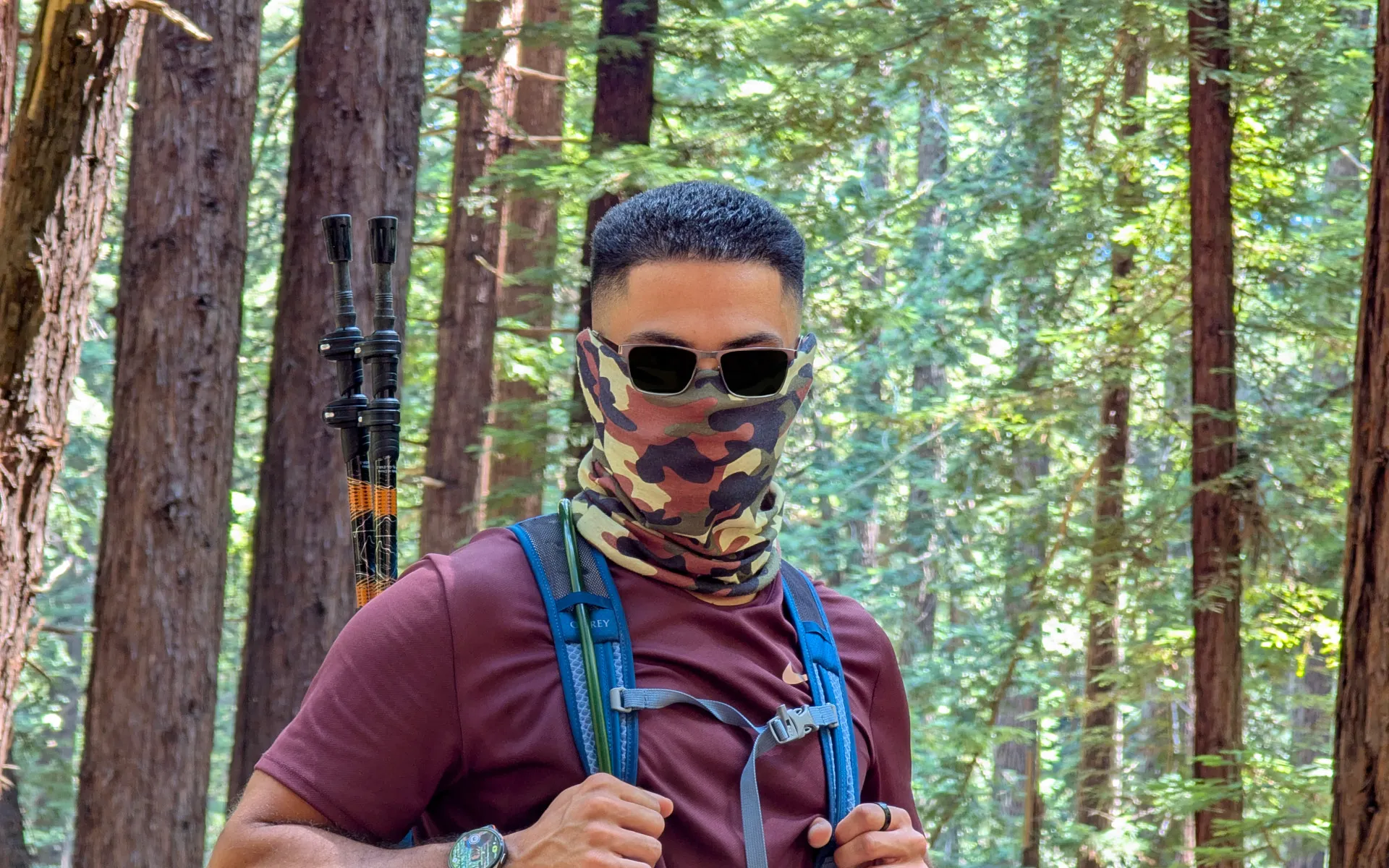 Reinhardt Redwoods - photo 1