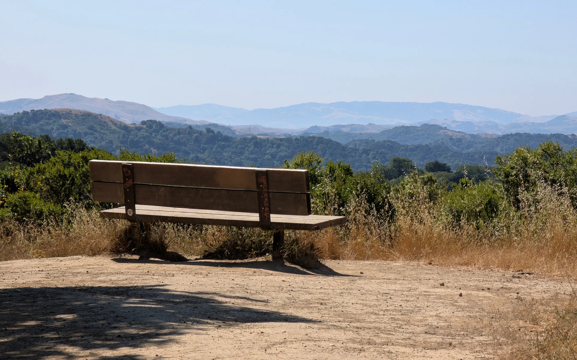 Reinhardt Redwoods - photo 3