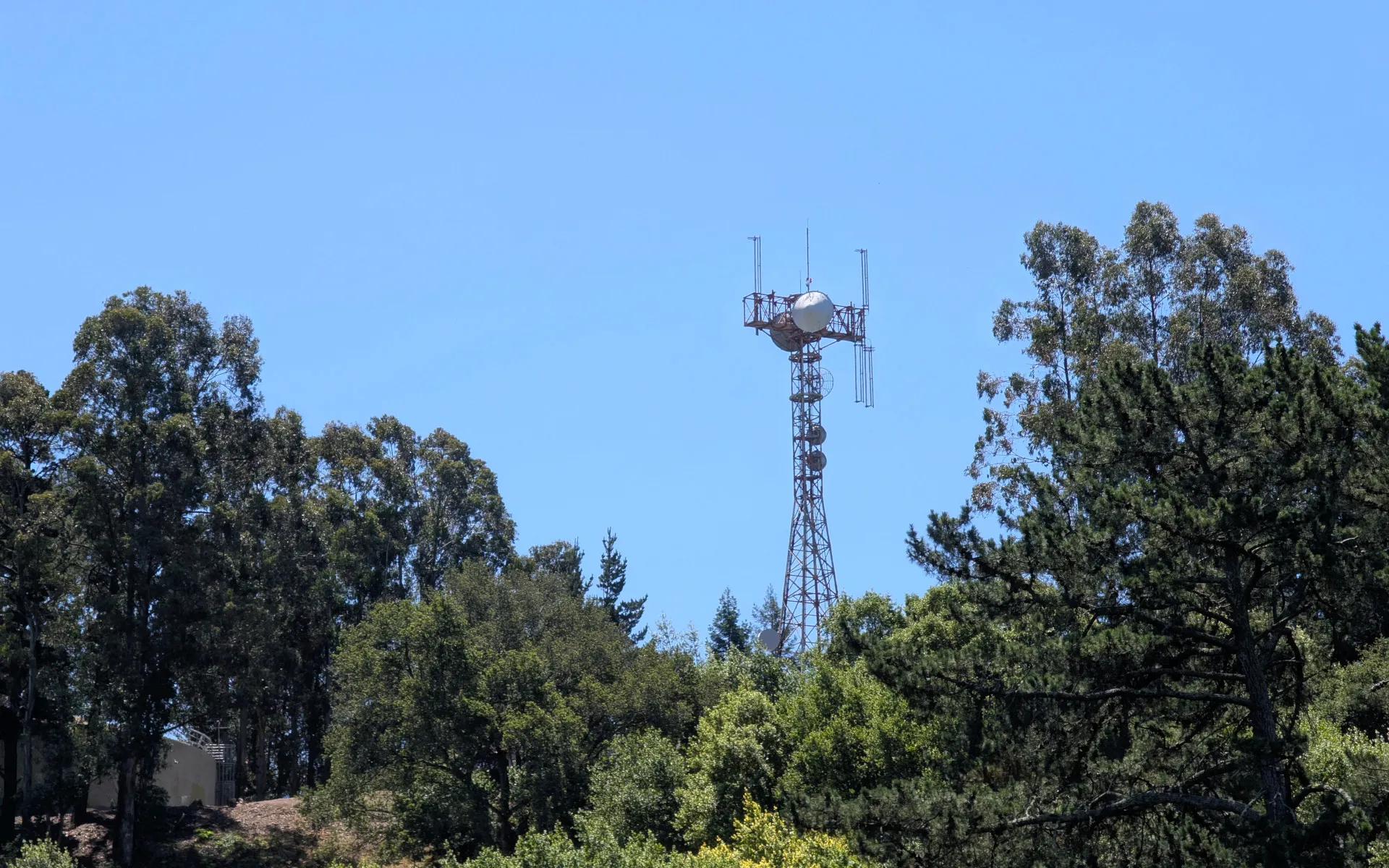 Reinhardt Redwoods - photo 4