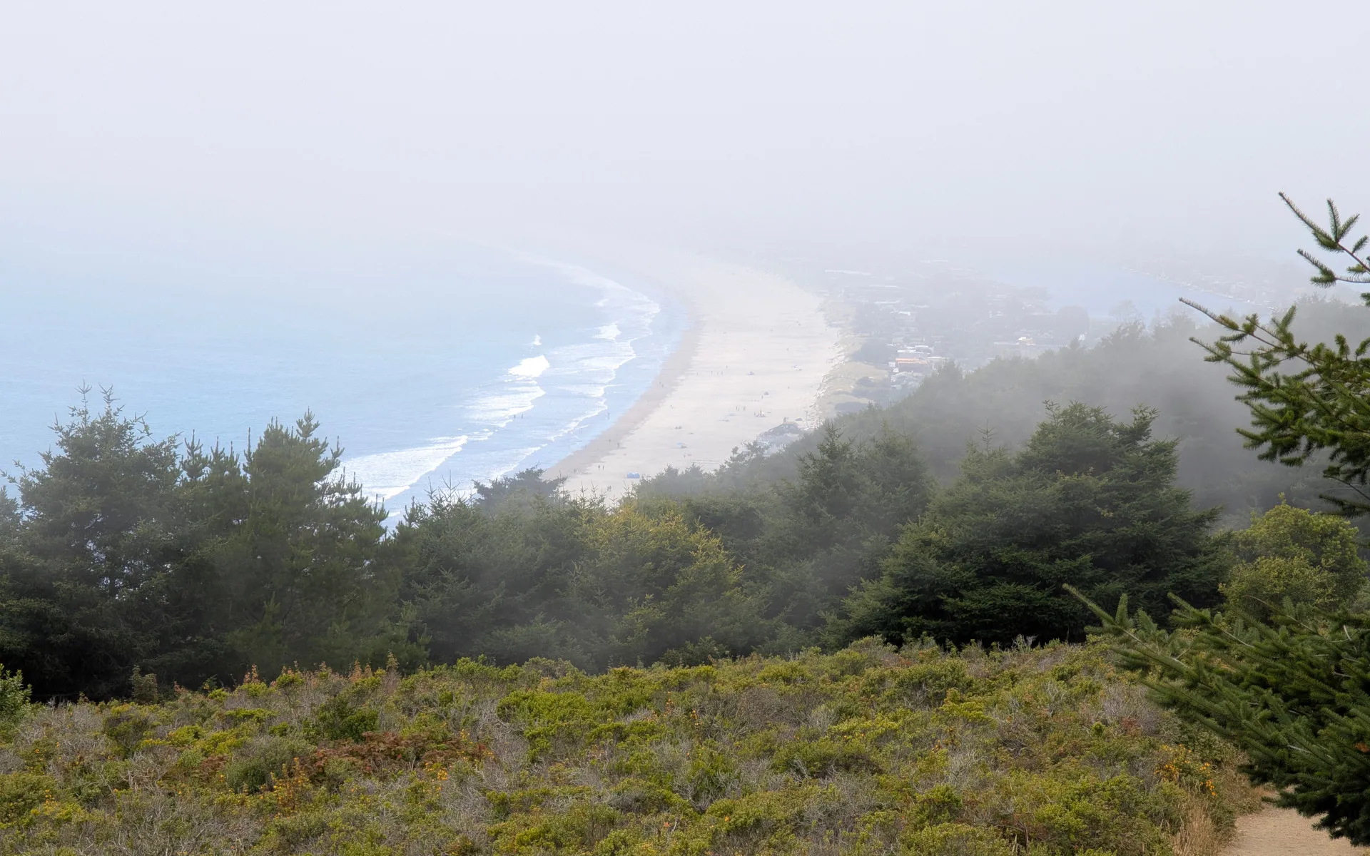 Muir Woods - photo 4
