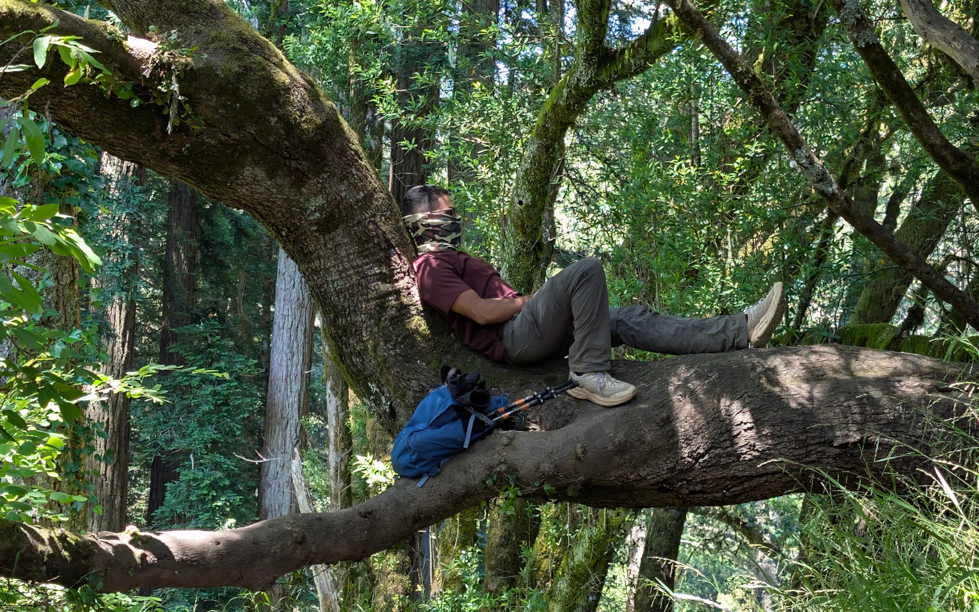 Muir Woods - photo 5