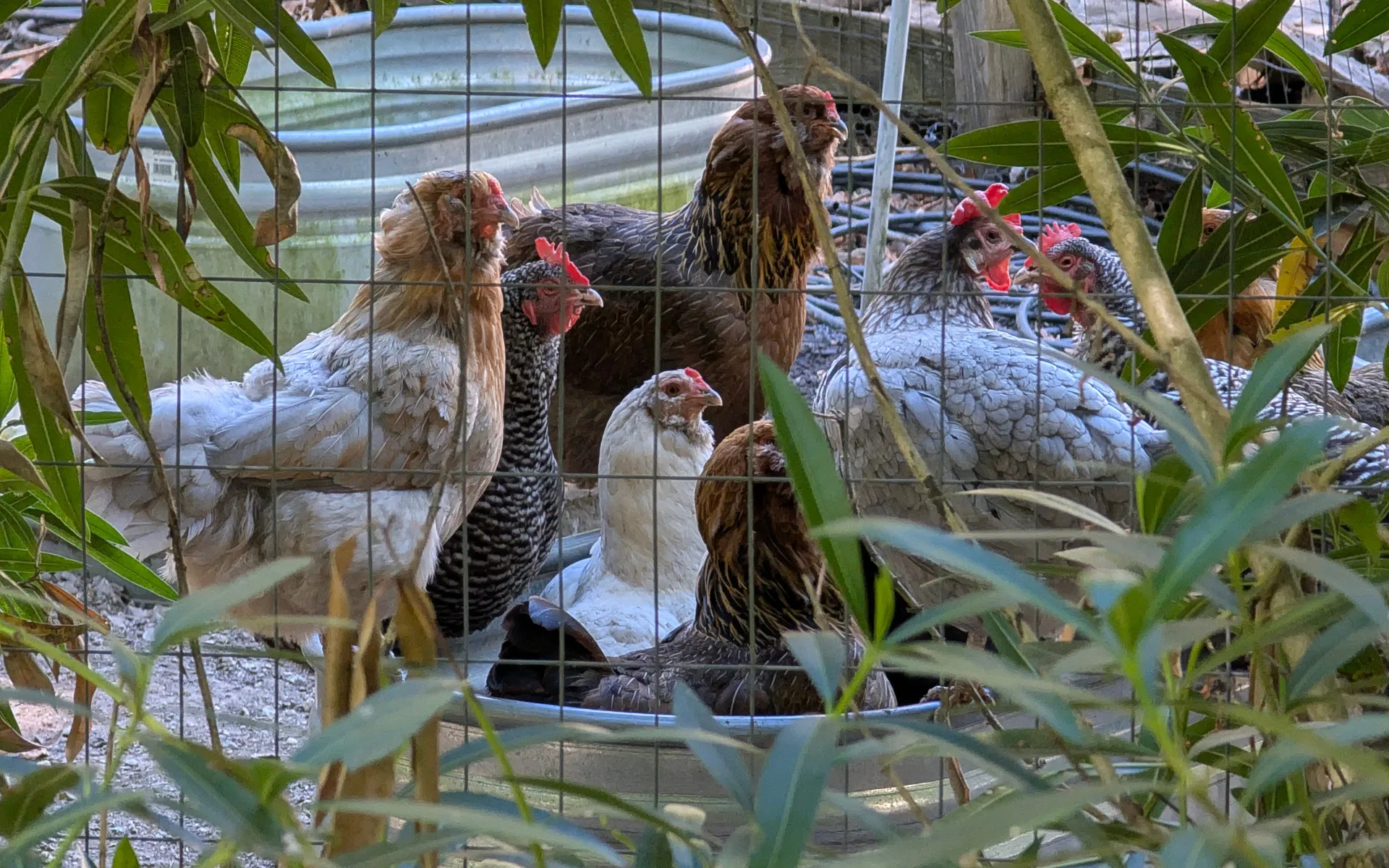 Windy Hill - photo 3