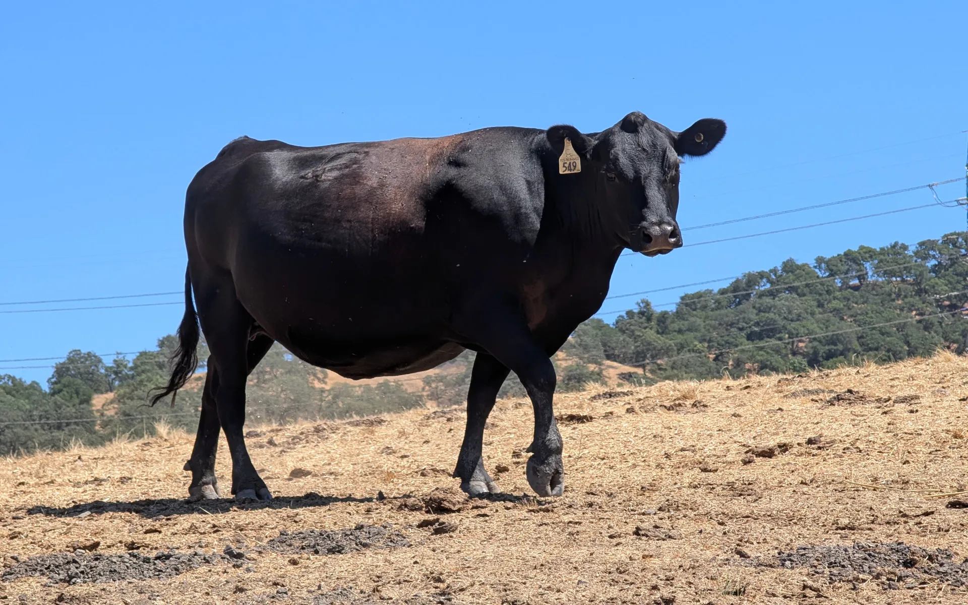 Rancho San Vicente - photo 5