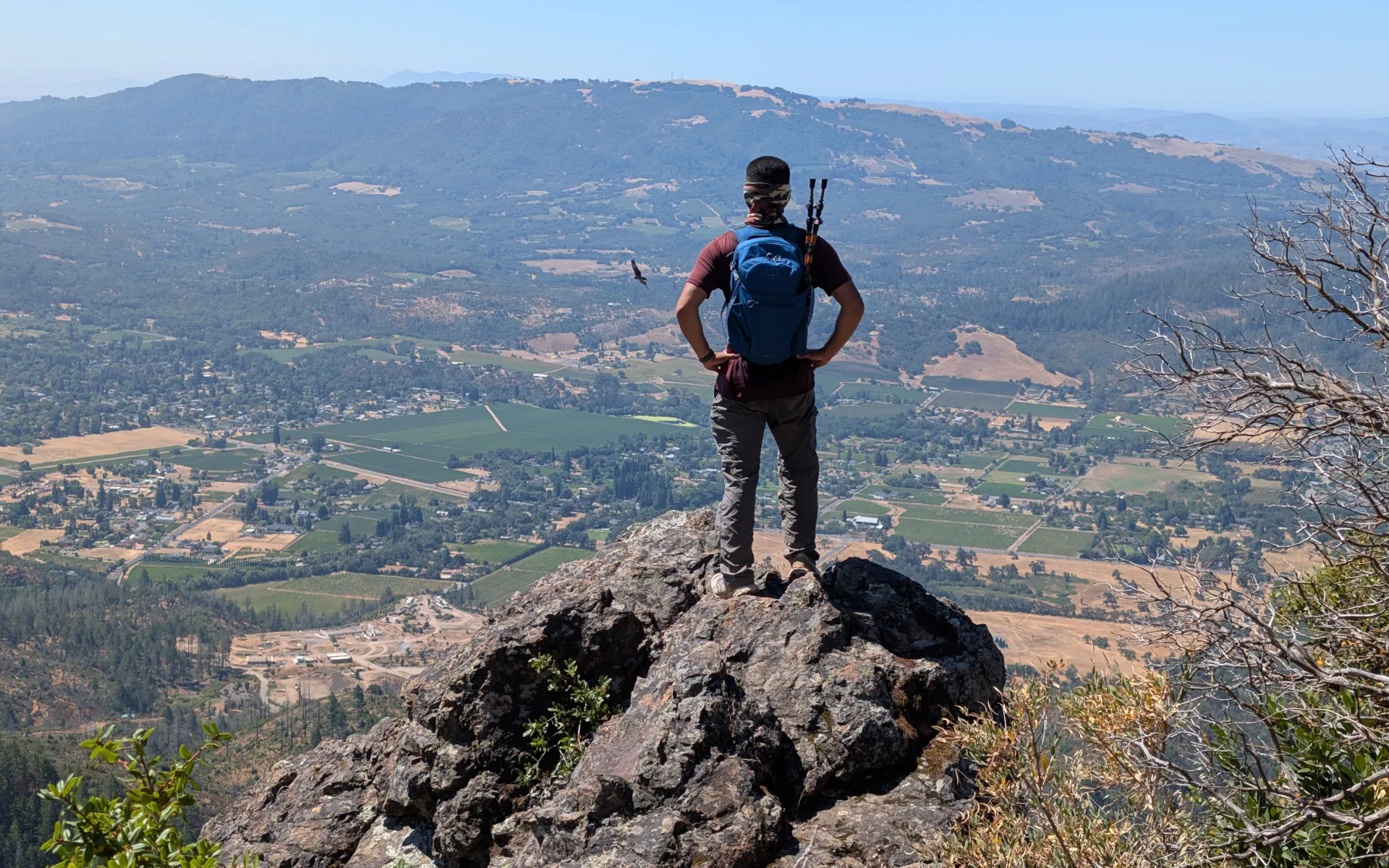 Mount Hood - photo 1