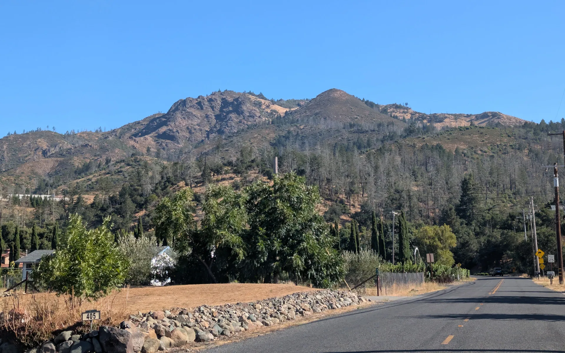 Mount Hood - photo 3