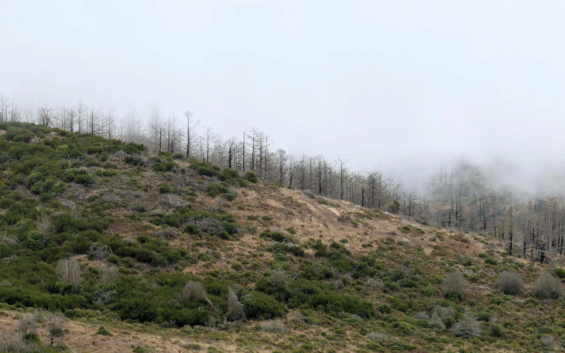 Mount Wittenberg - photo 3