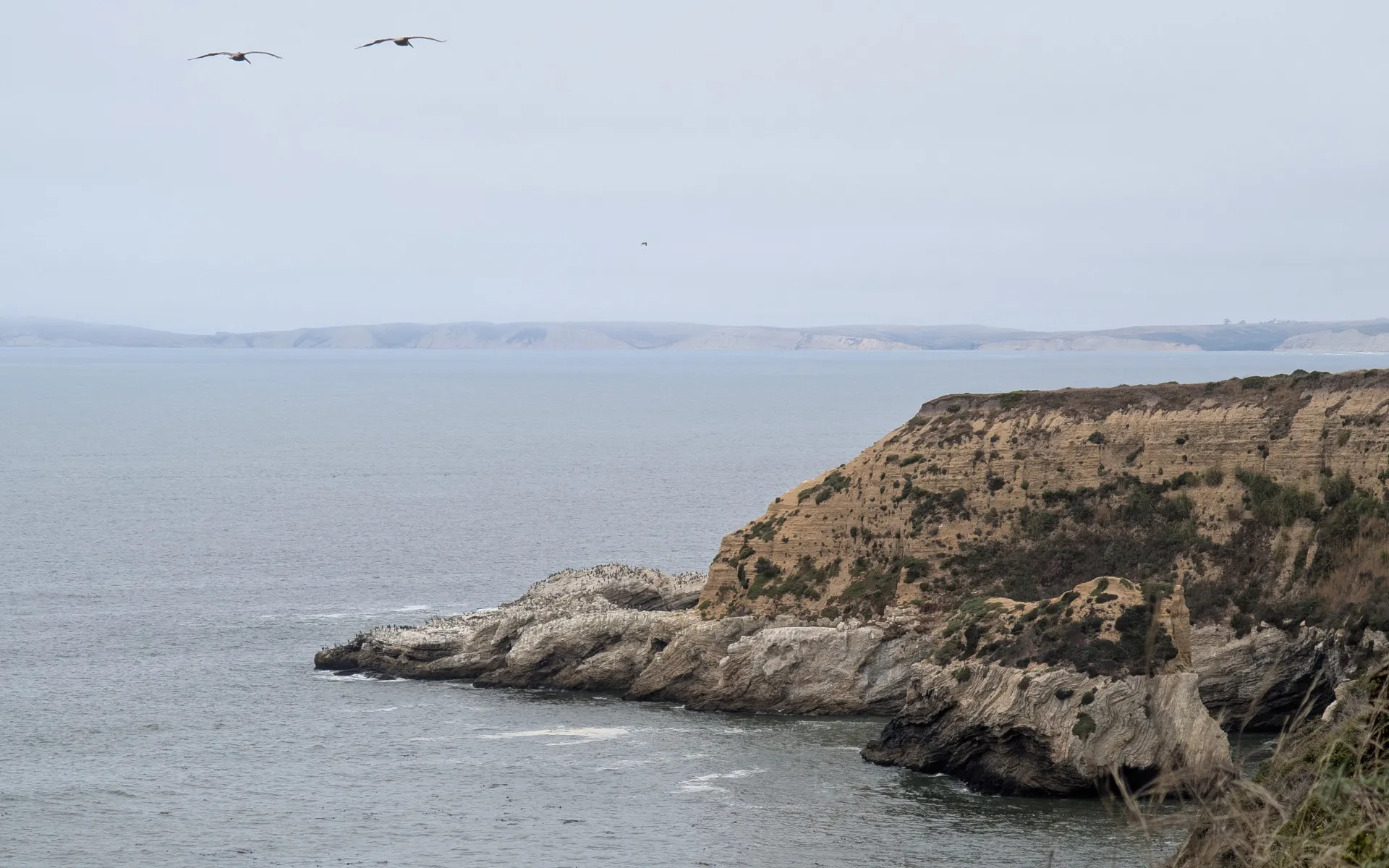 Mount Wittenberg - photo 4