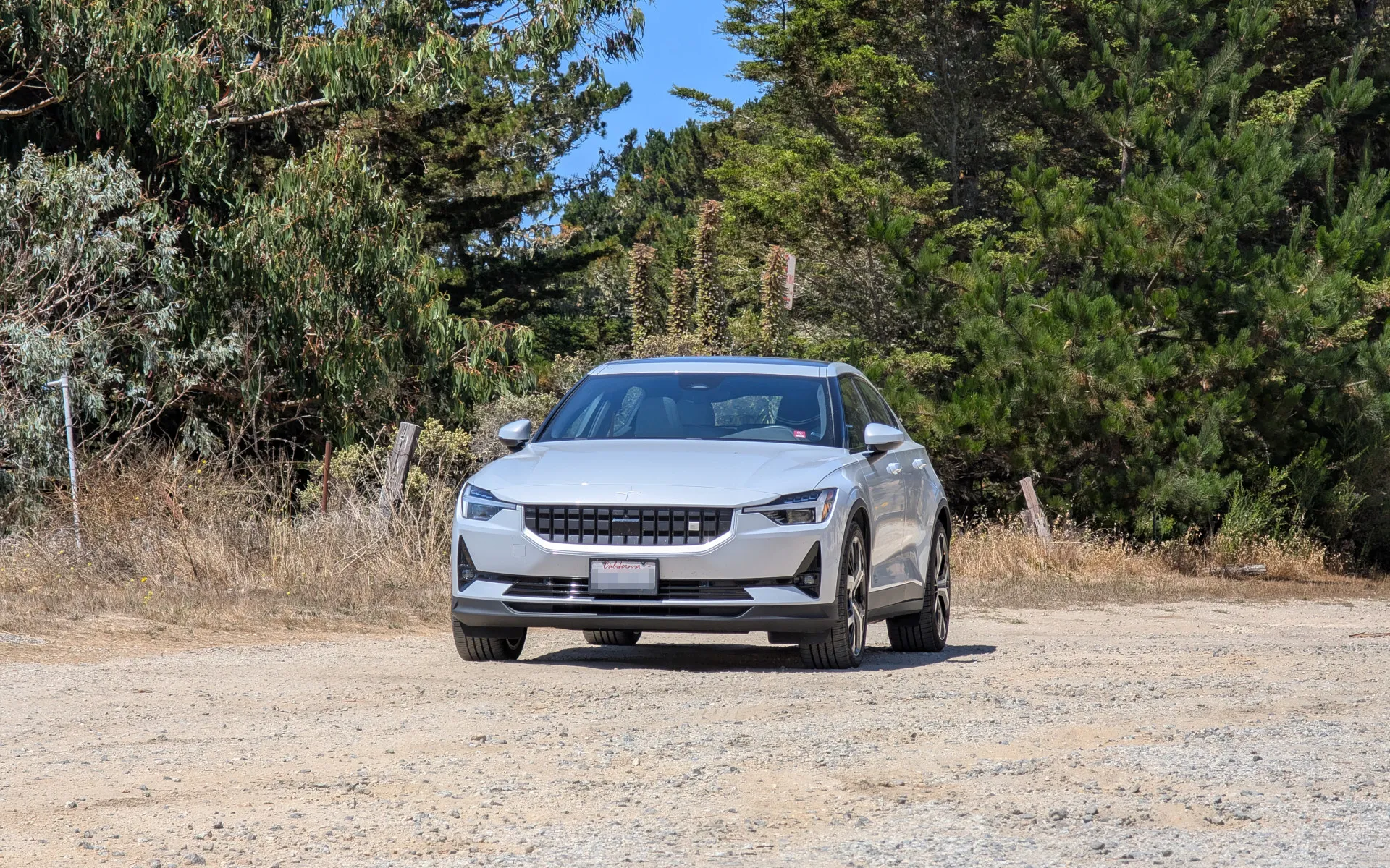 Cotoni-Coast Dairies - photo 2