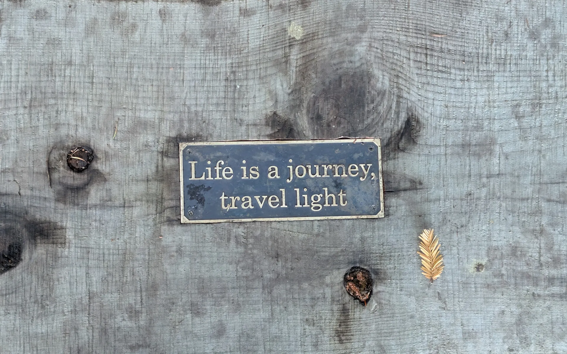 Cotoni-Coast Dairies - photo 5