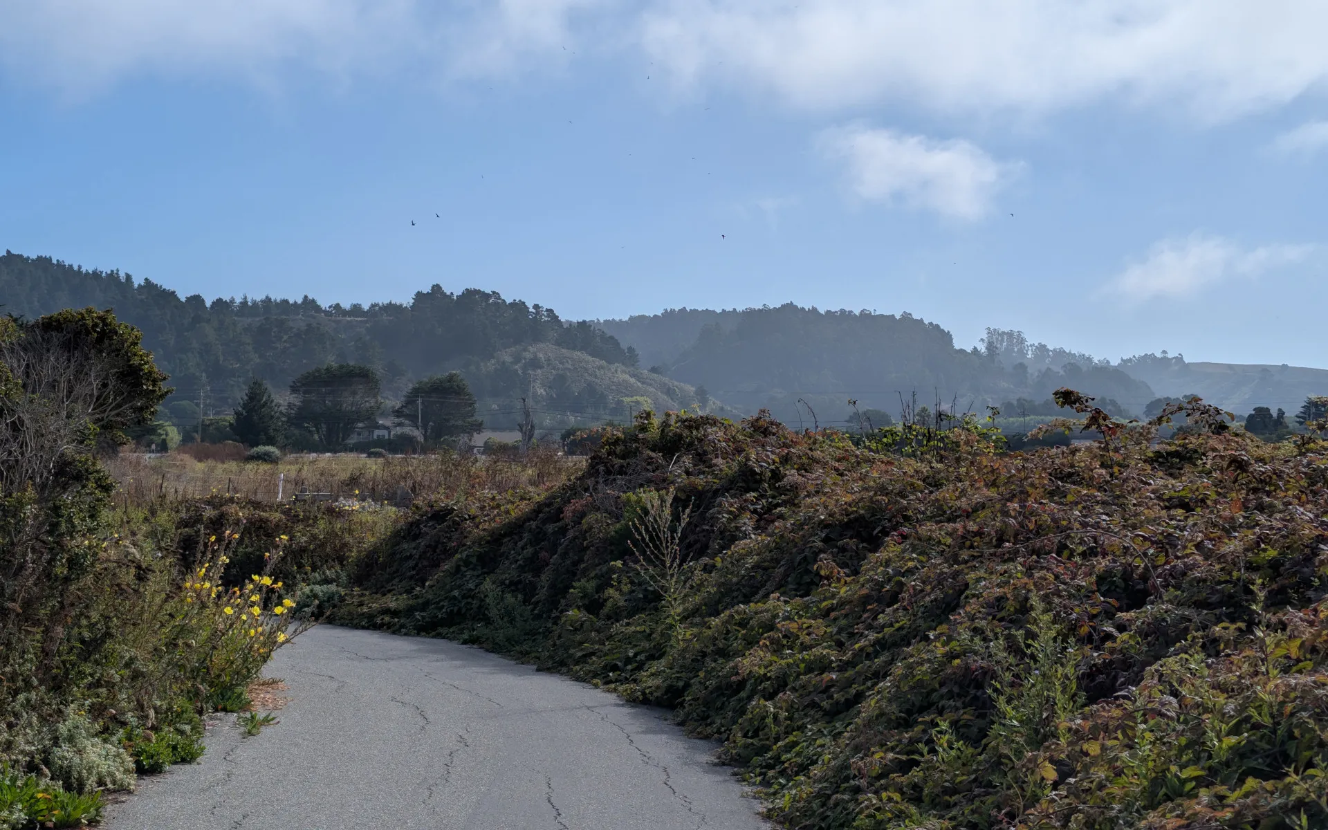 Half Moon Bay - photo 3