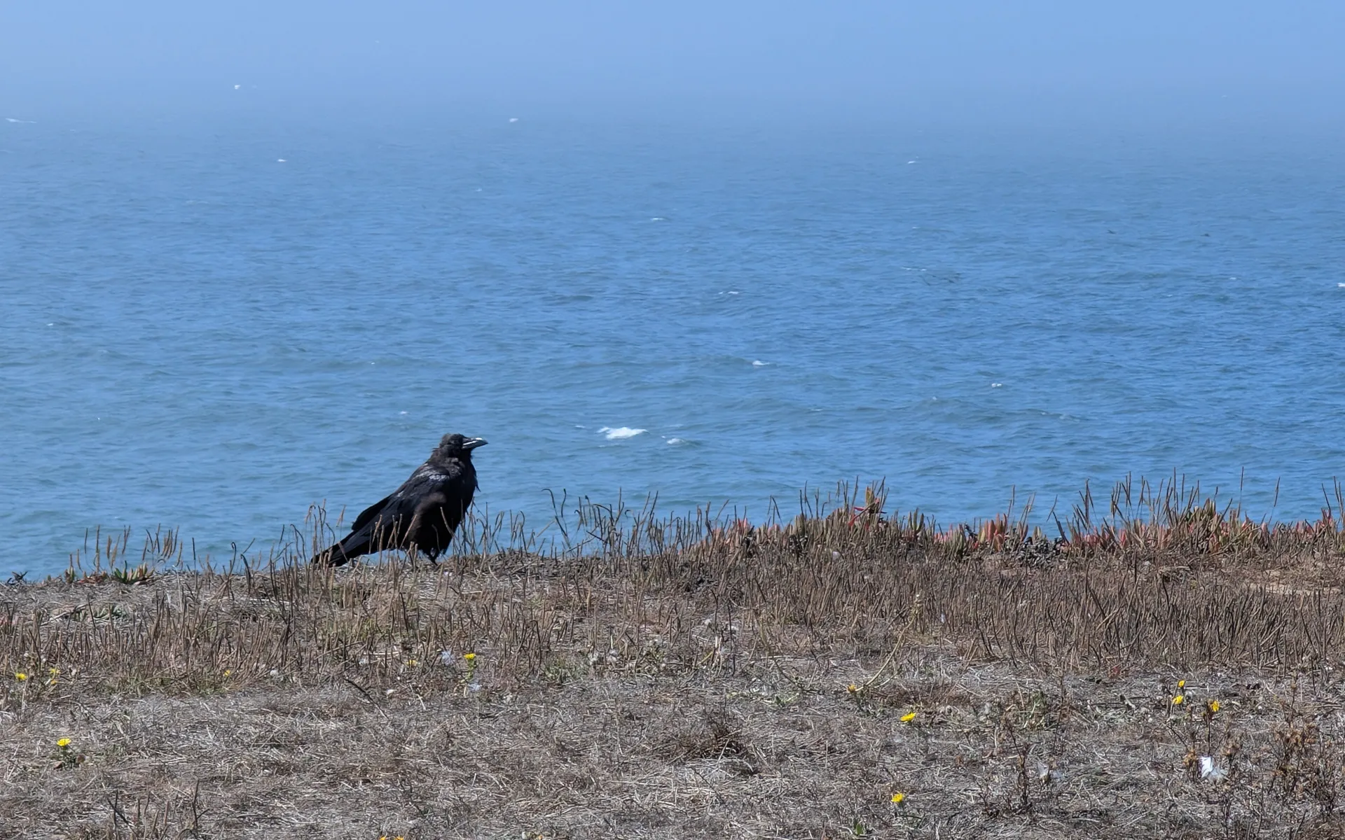 Half Moon Bay - photo 5