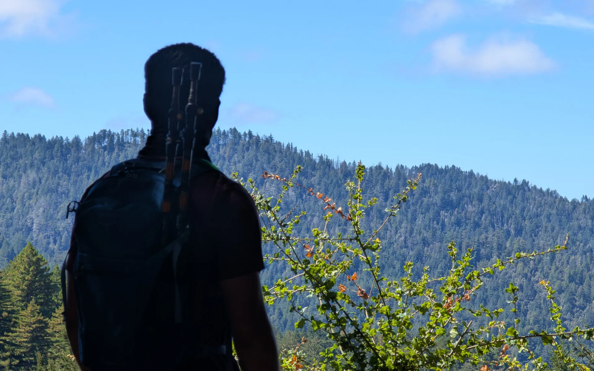 Pescadero Creek Park - photo 1