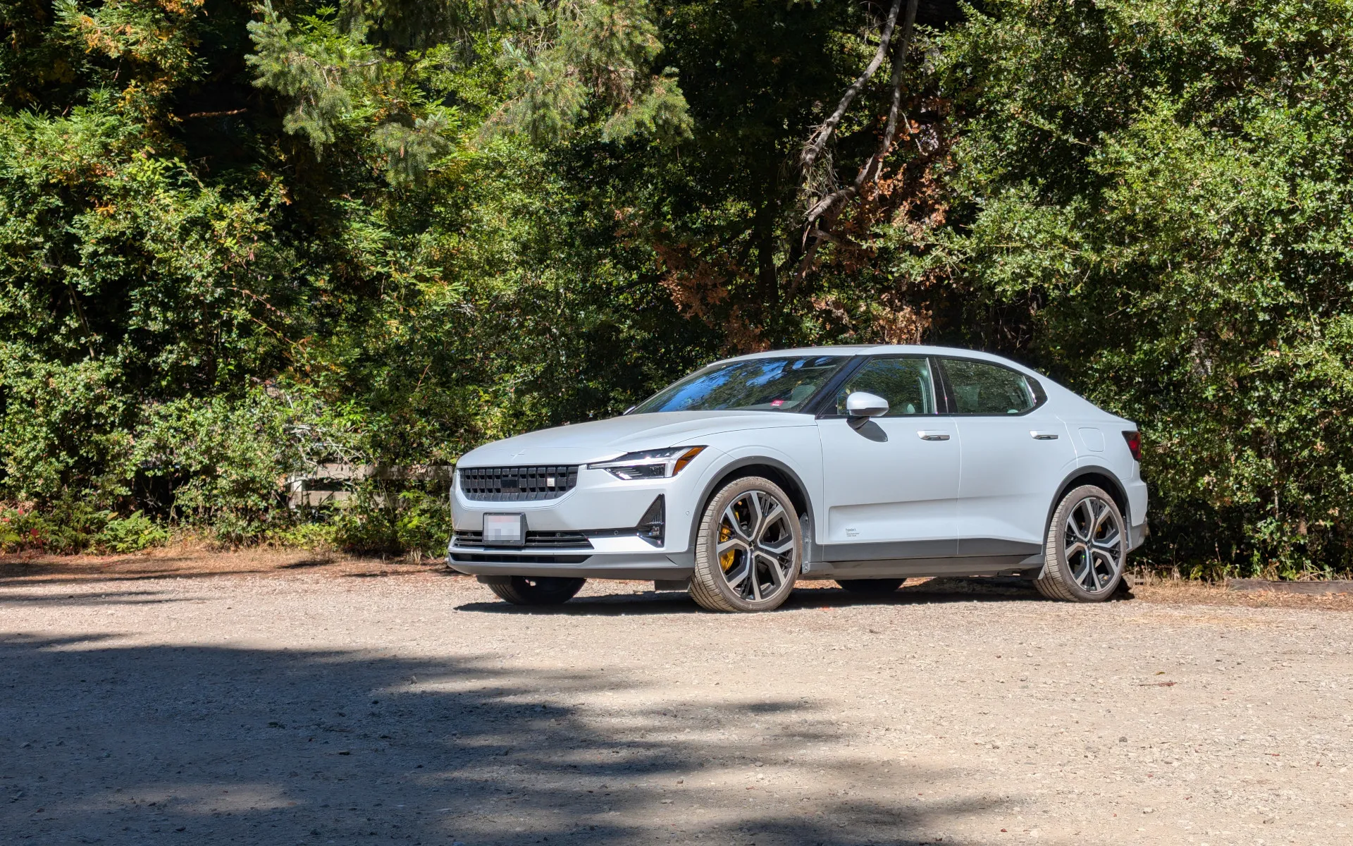 Pescadero Creek Park - photo 2