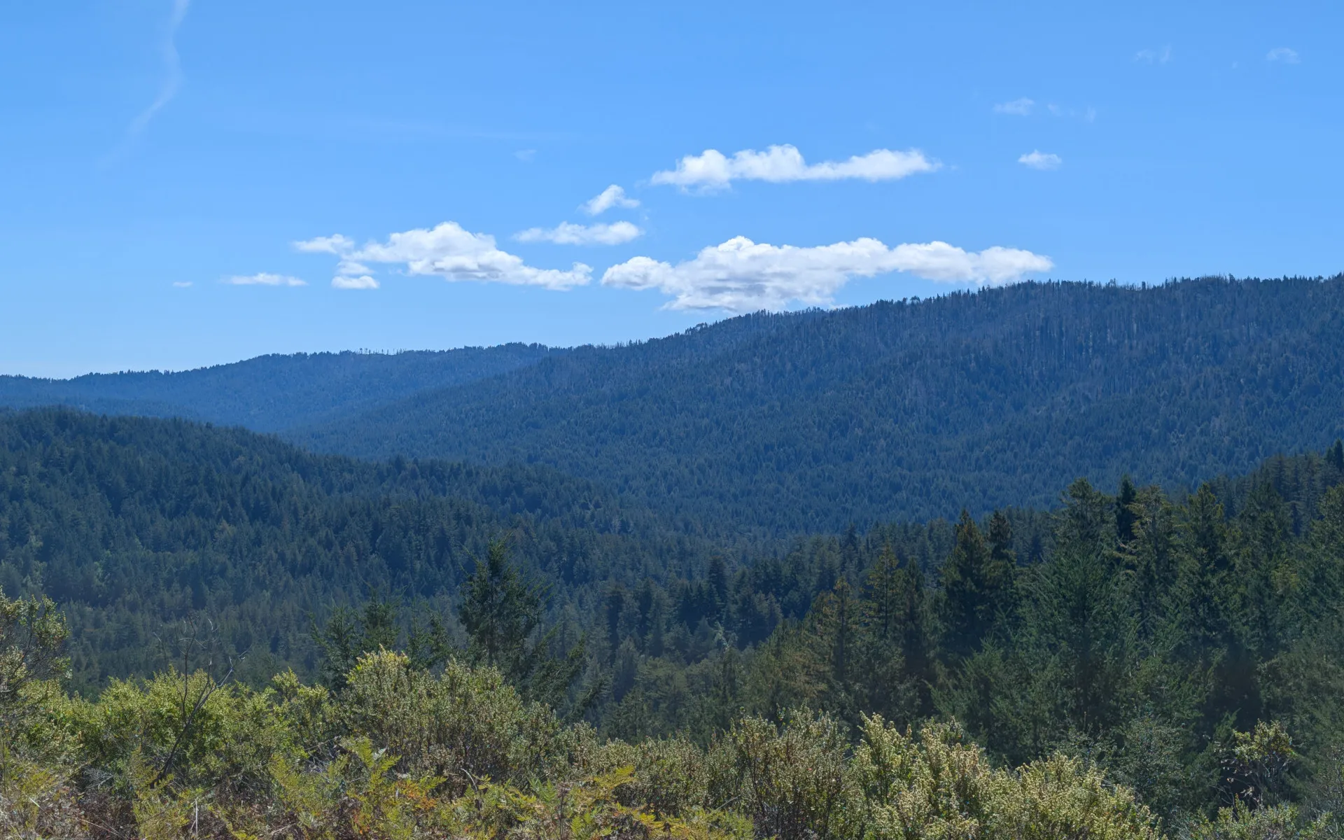 Pescadero Creek Park - photo 3