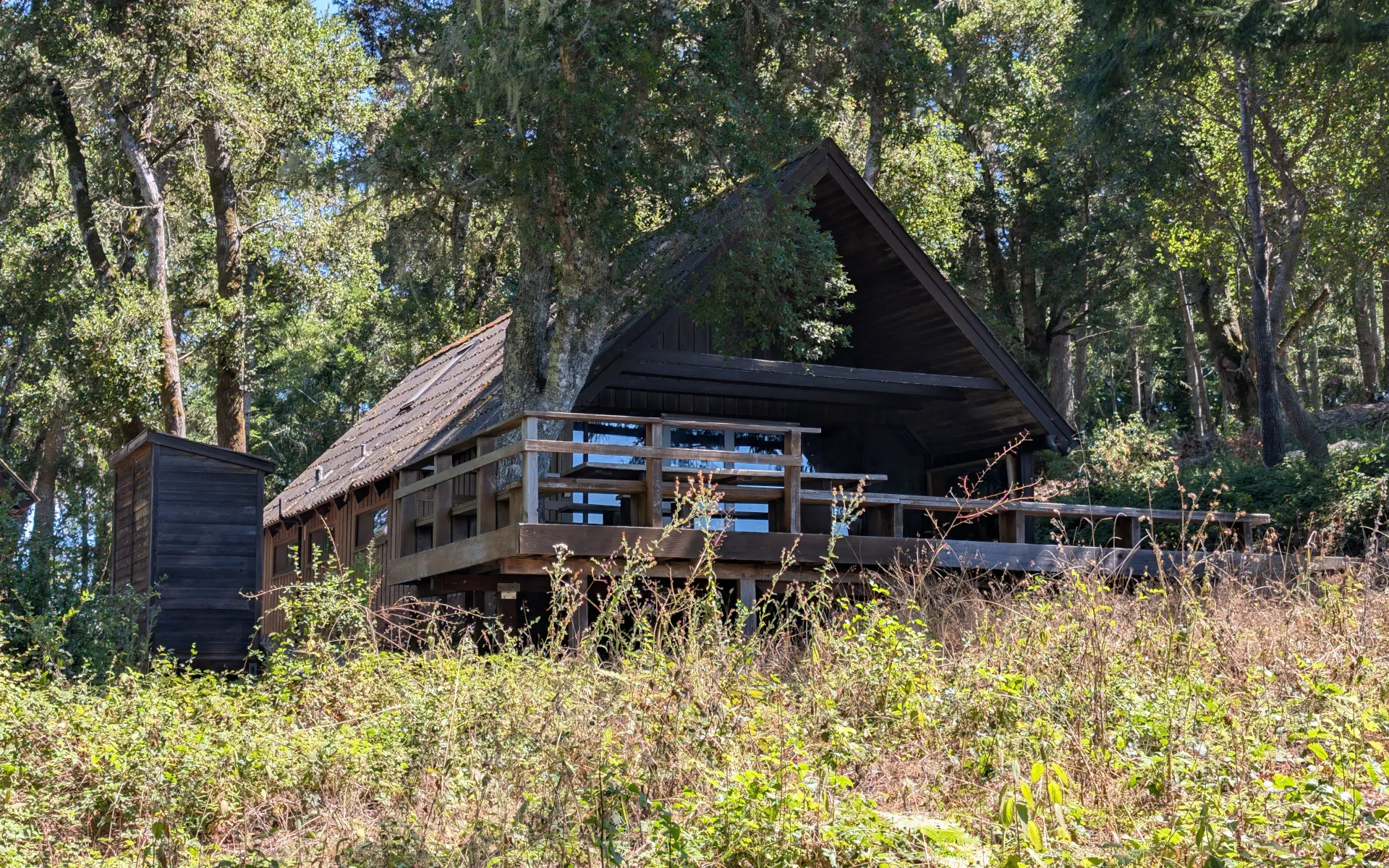 Pescadero Creek Park - photo 4