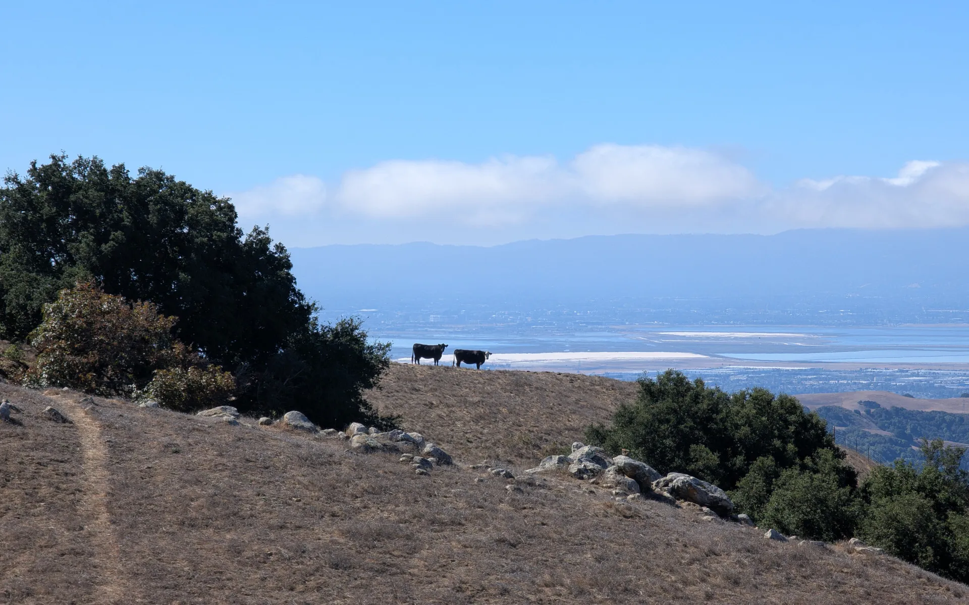 Sunol Peak - photo 5