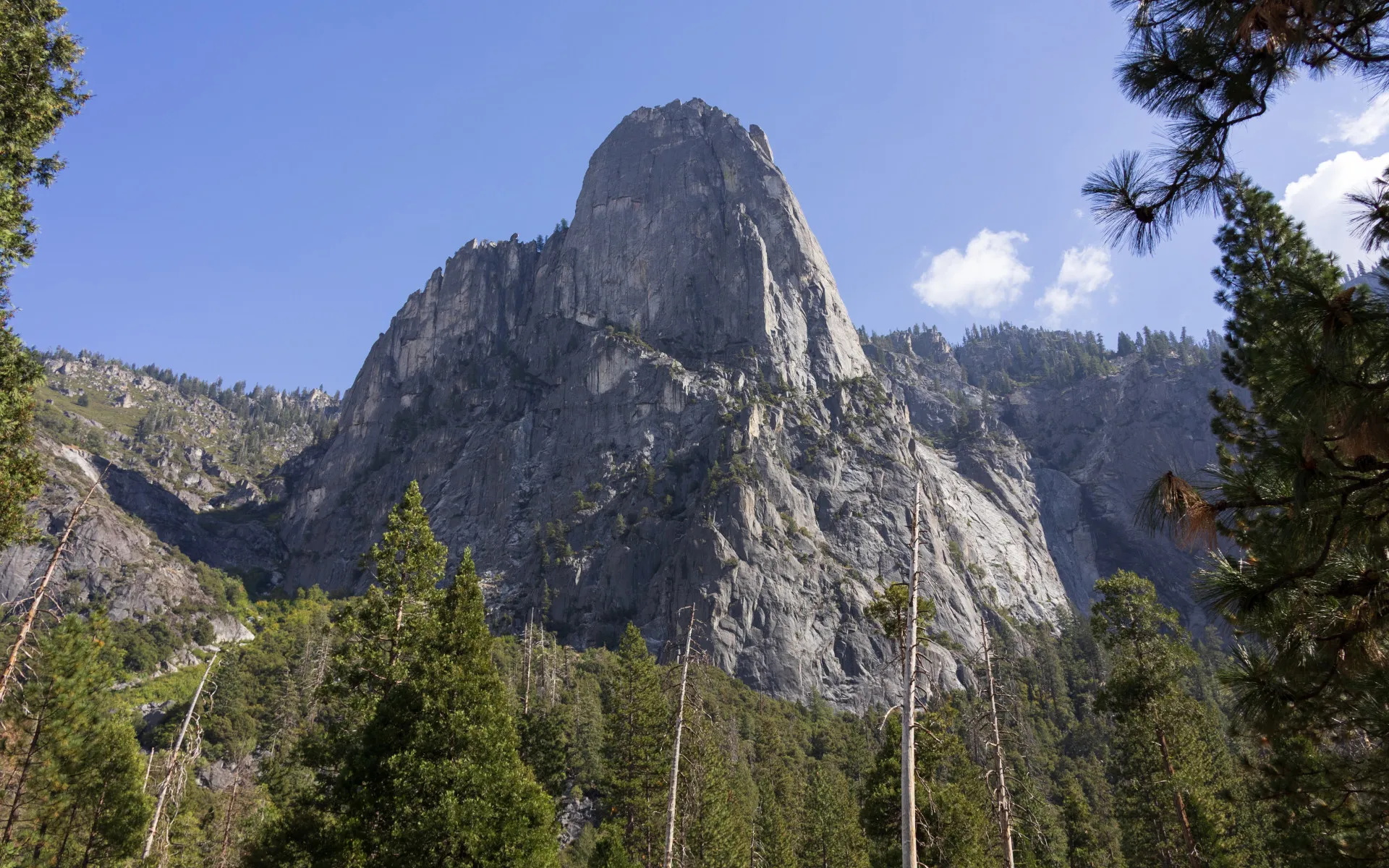 Yosemite National Park - photo 5