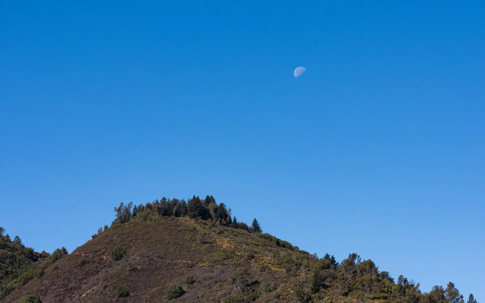 Uvas Canyon - photo 4