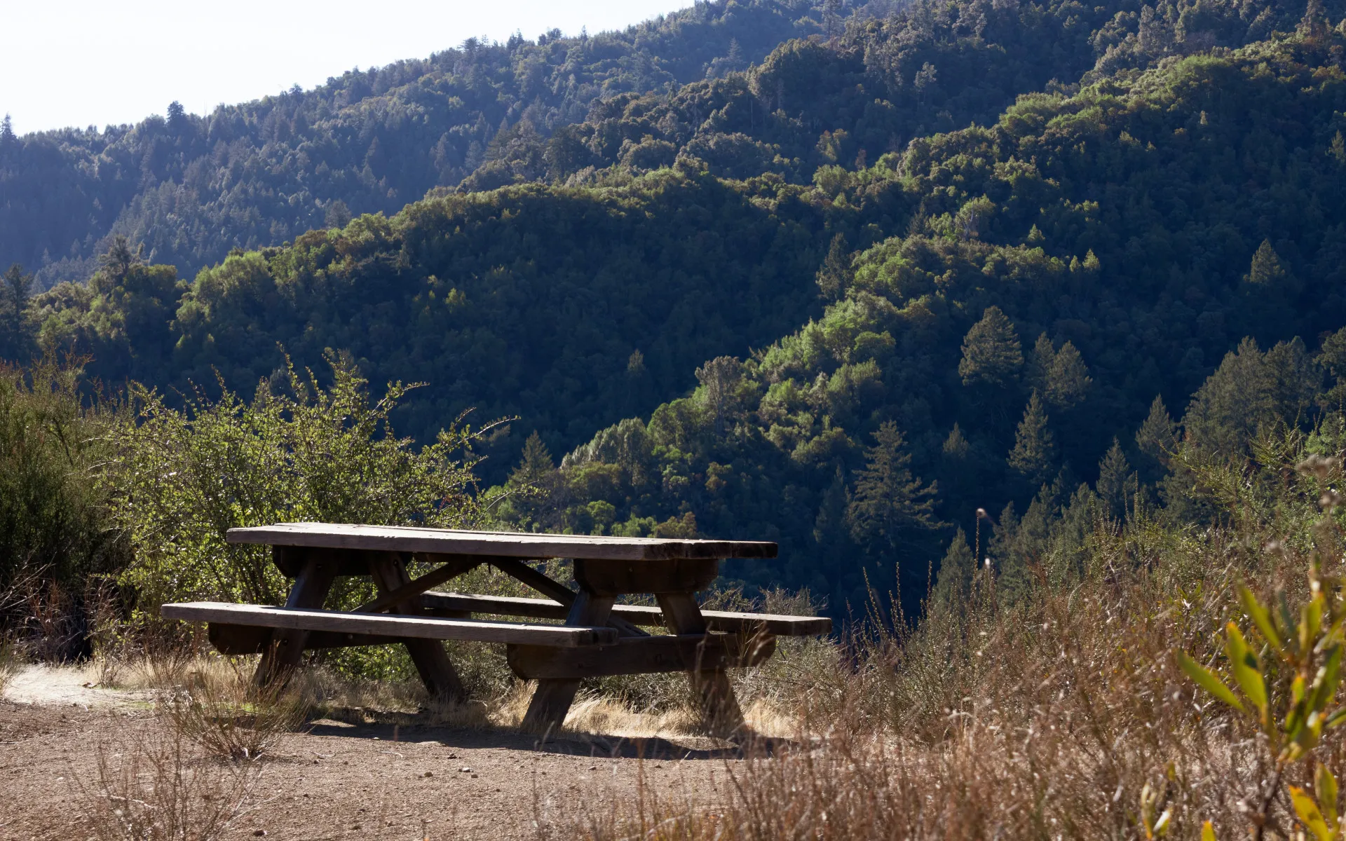 Uvas Canyon - photo 5