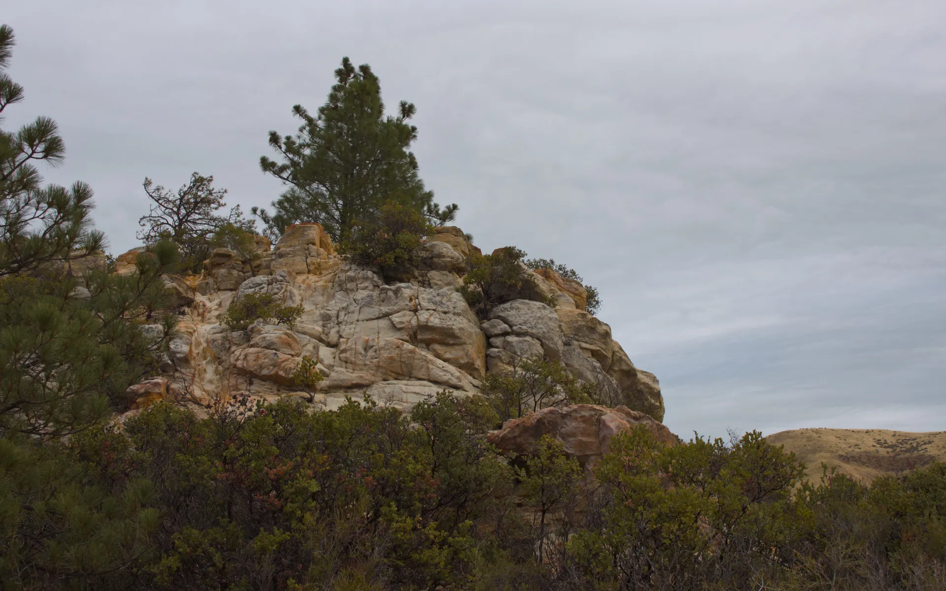 Black Diamond Mines - photo 4