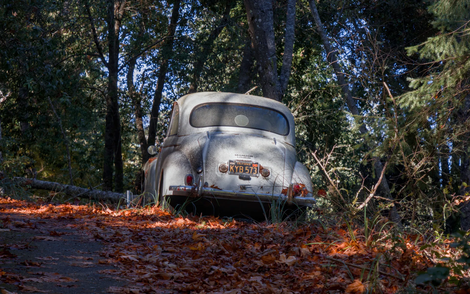 Sanborn County Park - photo 4