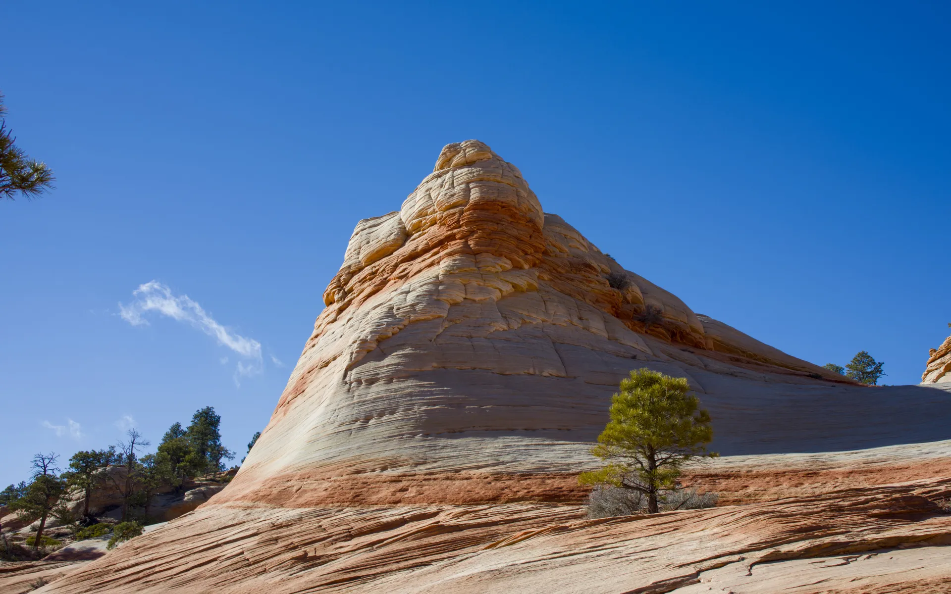 Water Canyon - photo 4